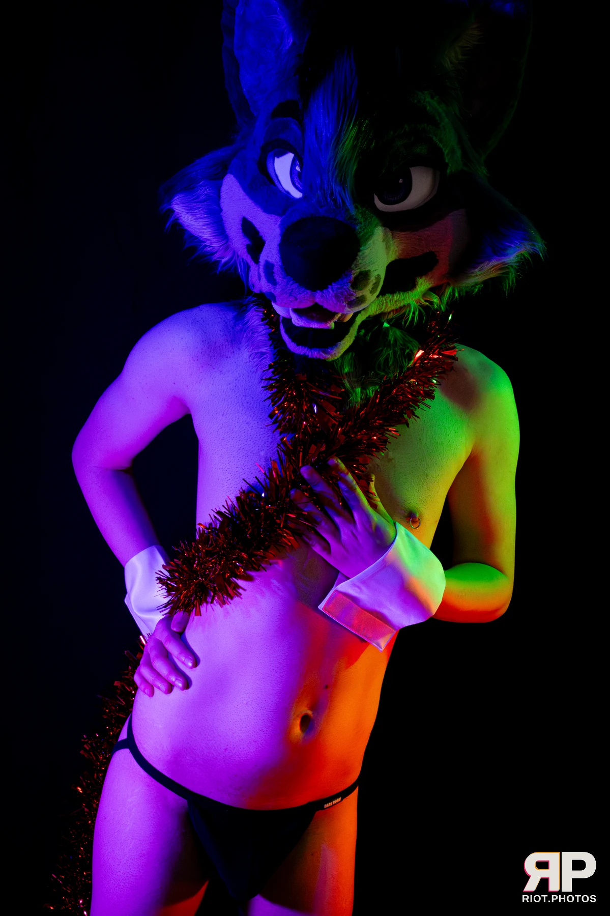 Salerei — furry & pup photography by Fluffy Riot — photo 19