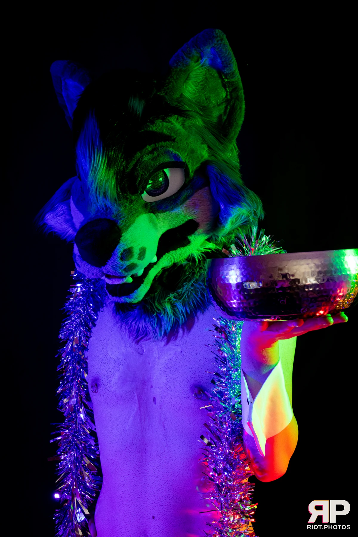 Salerei — furry & pup photography by Fluffy Riot — photo 22