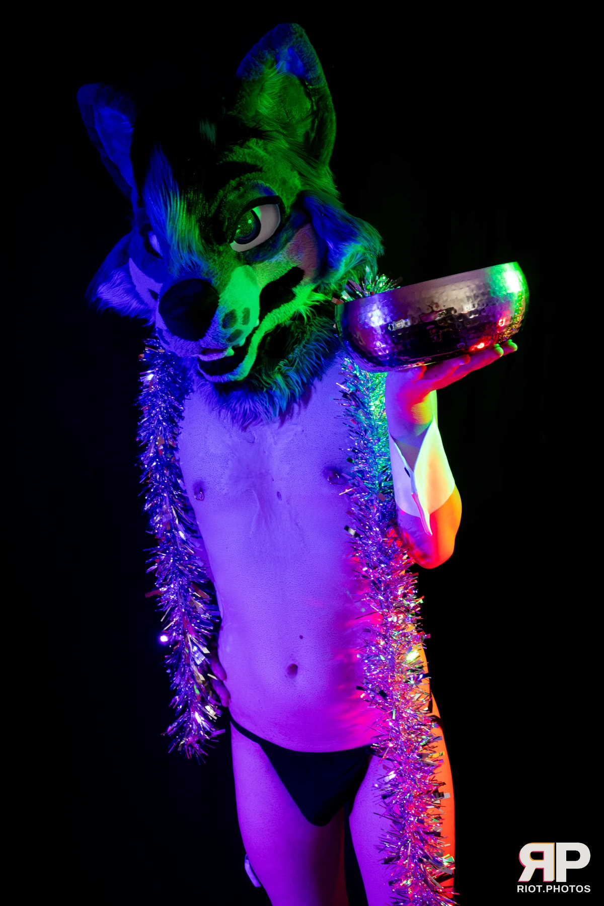 Salerei — furry & pup photography by Fluffy Riot — photo 23