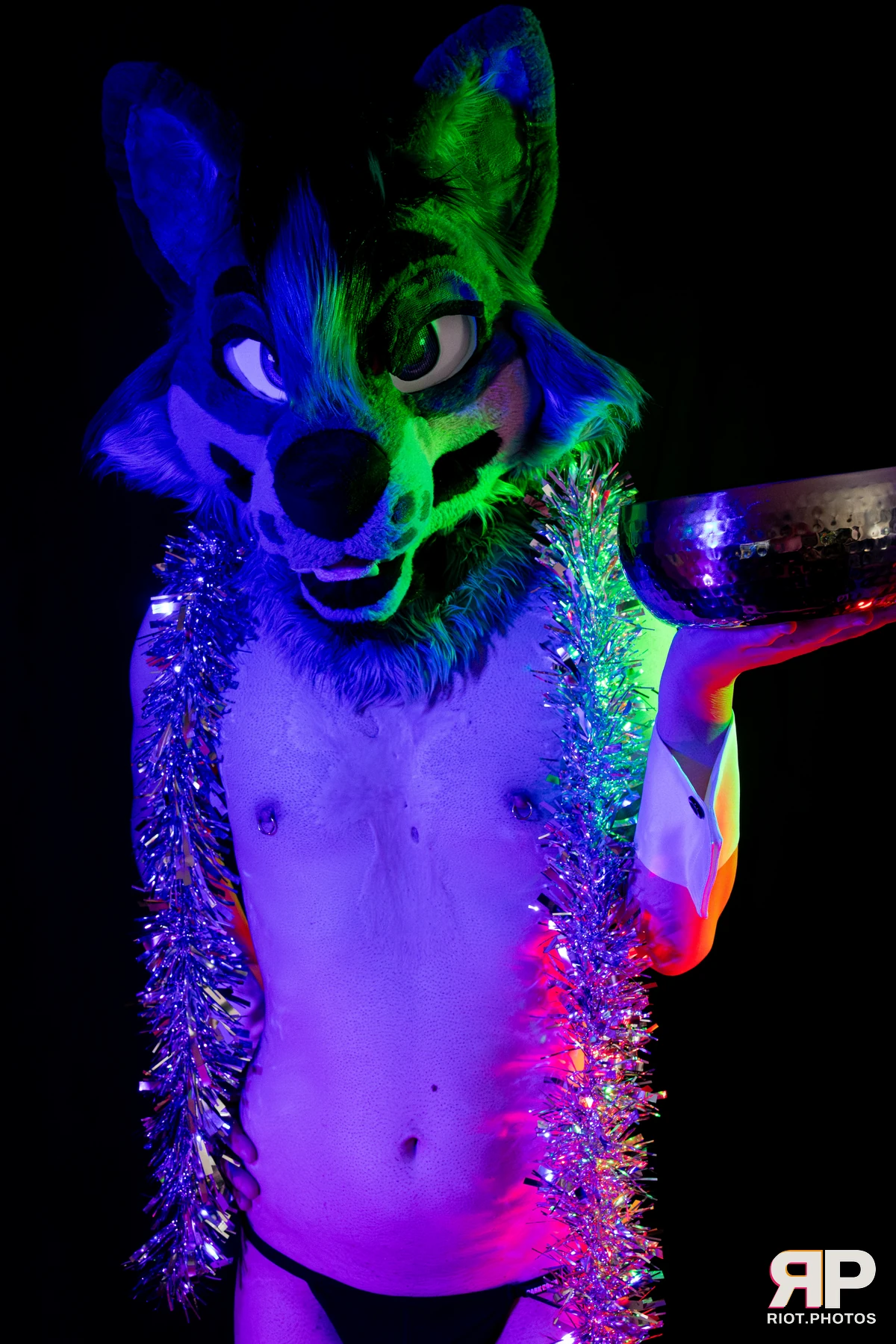 Salerei — furry & pup photography by Fluffy Riot — photo 24