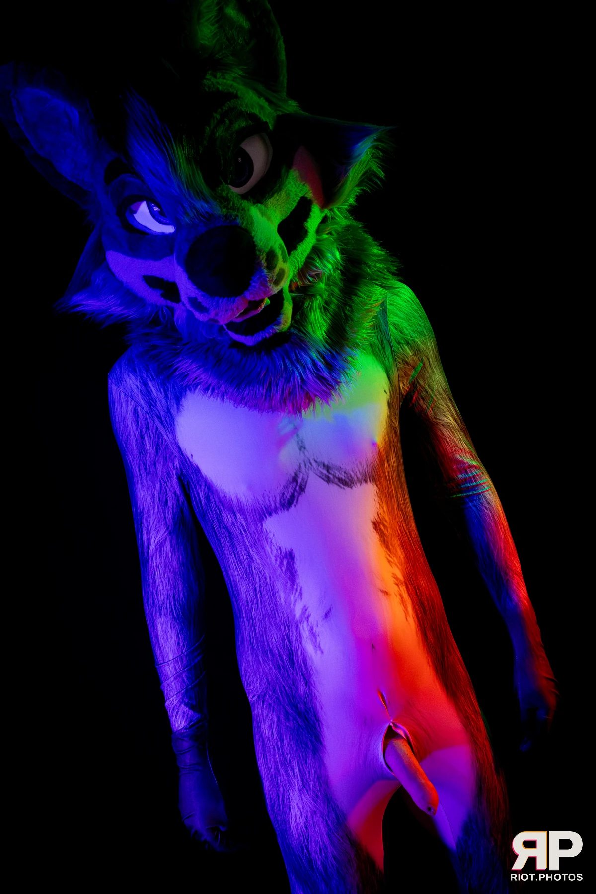 Salerei — furry & pup photography by Fluffy Riot — photo 25