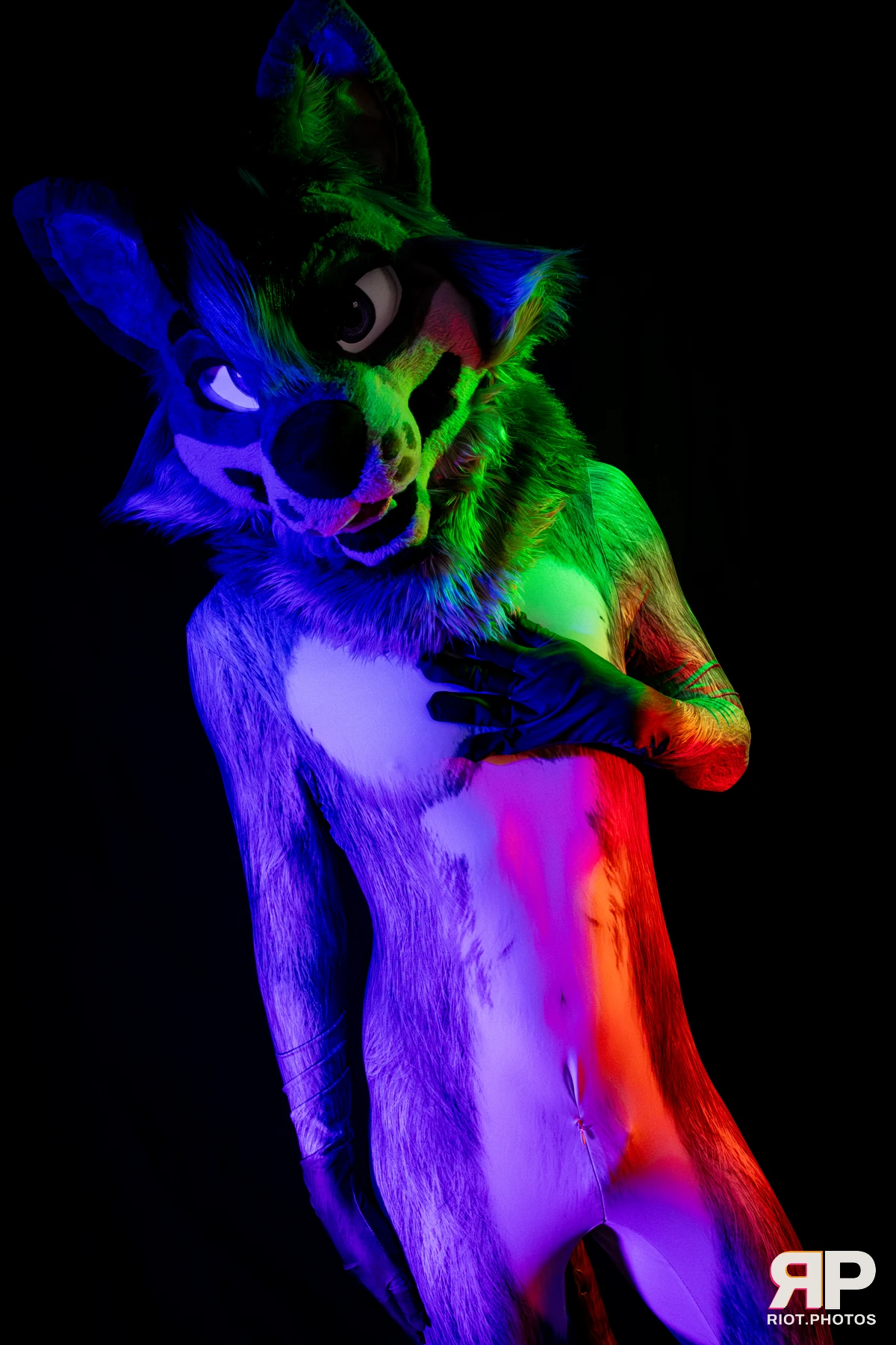 Salerei — furry & pup photography by Fluffy Riot — photo 26