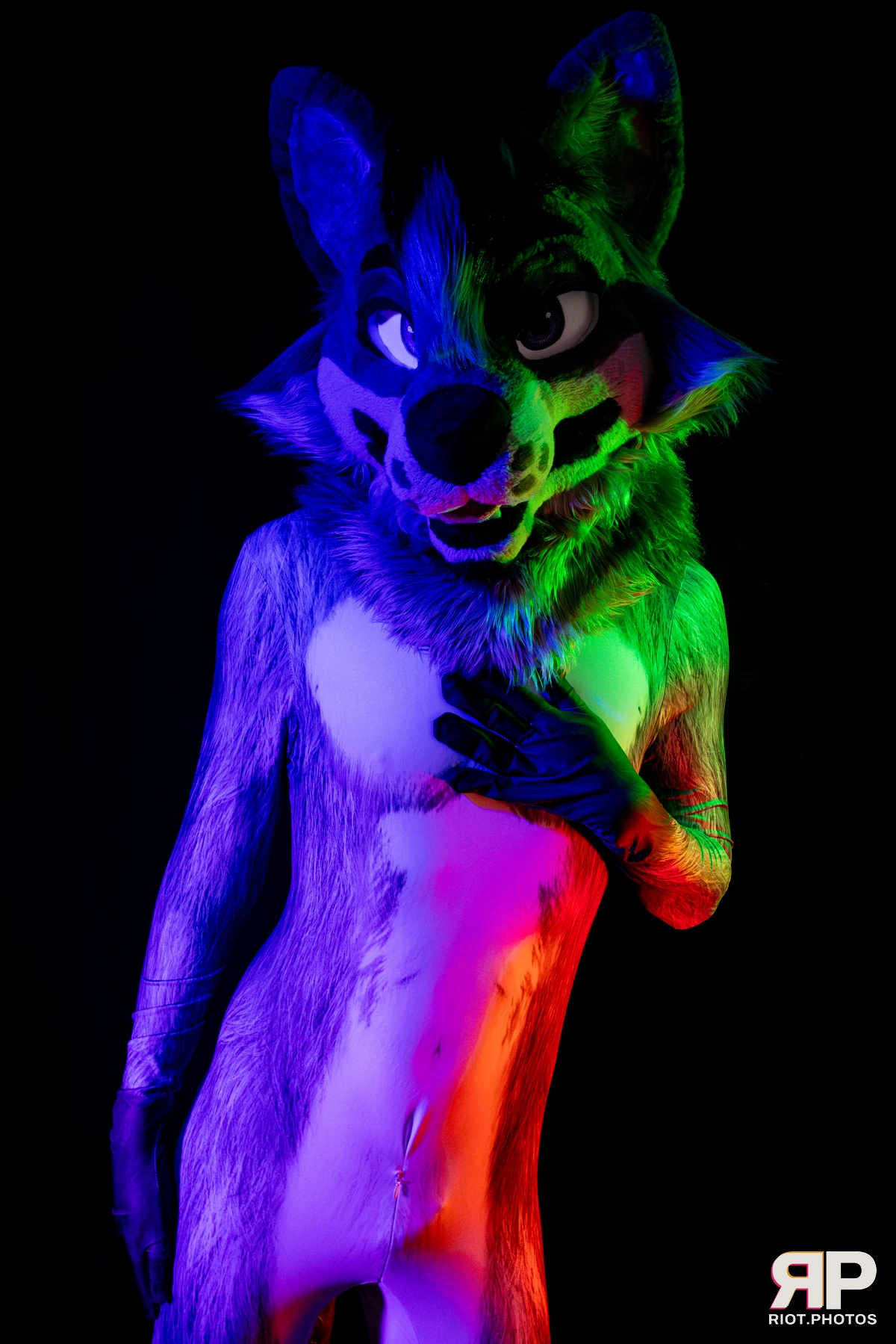 Salerei — furry & pup photography by Fluffy Riot — photo 27