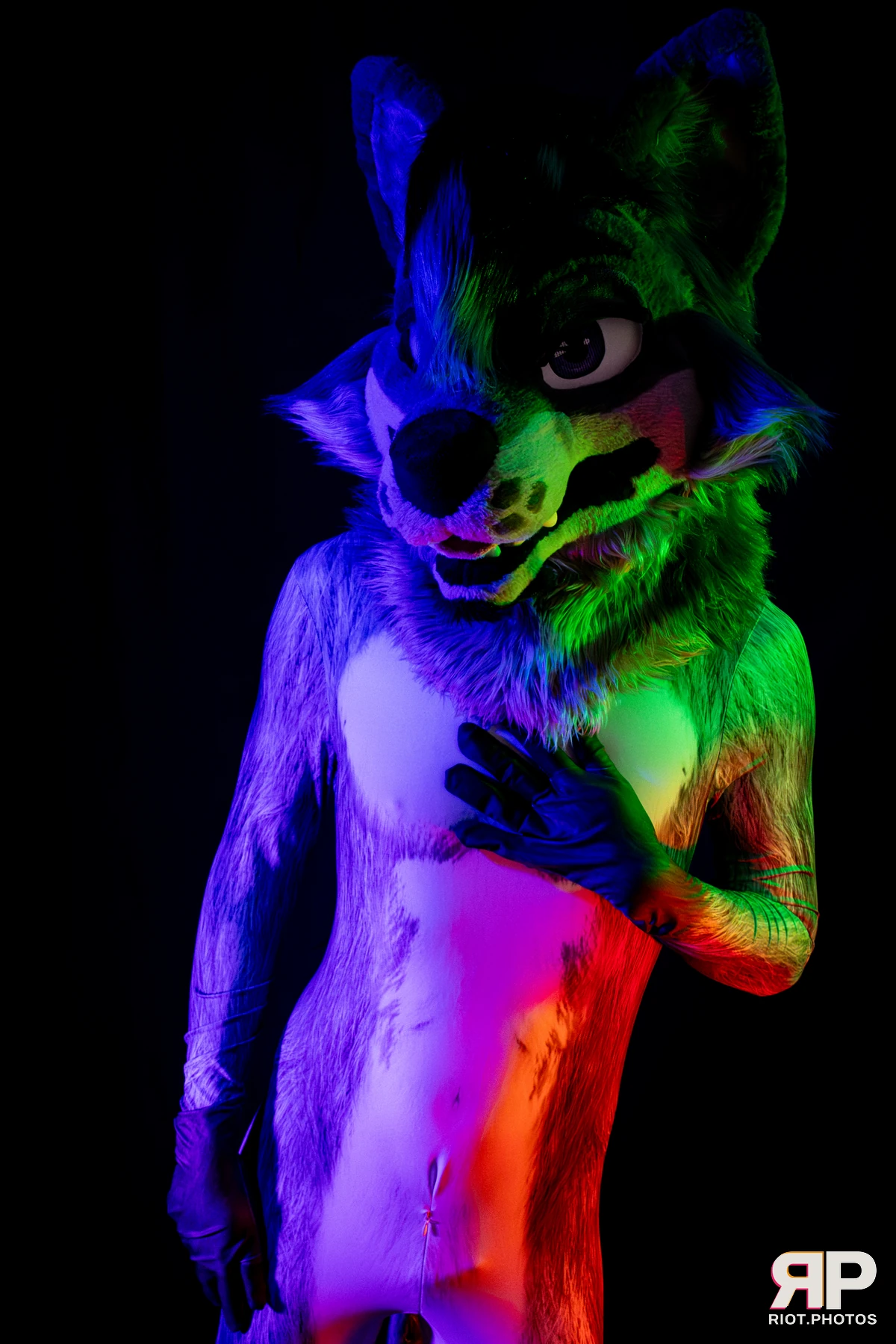 Salerei — furry & pup photography by Fluffy Riot — photo 28