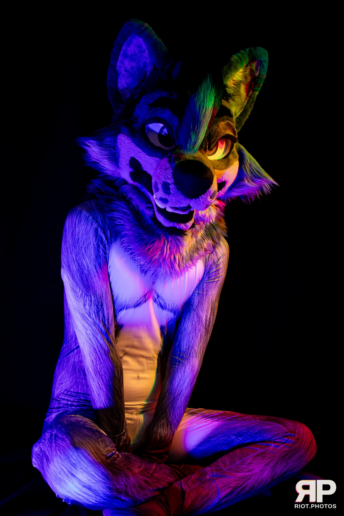 Salerei — furry & pup photography by Fluffy Riot — photo 29