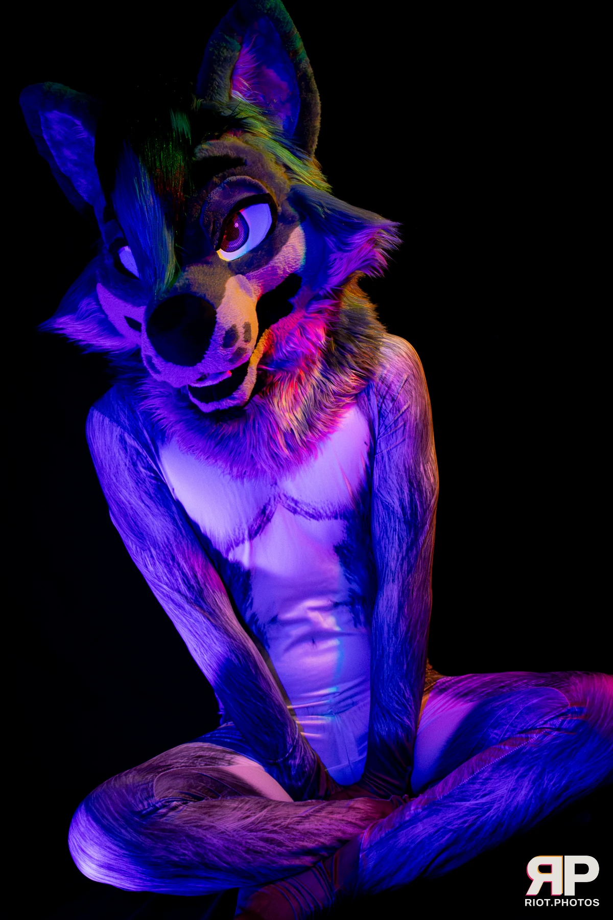 Salerei — furry & pup photography by Fluffy Riot — photo 30