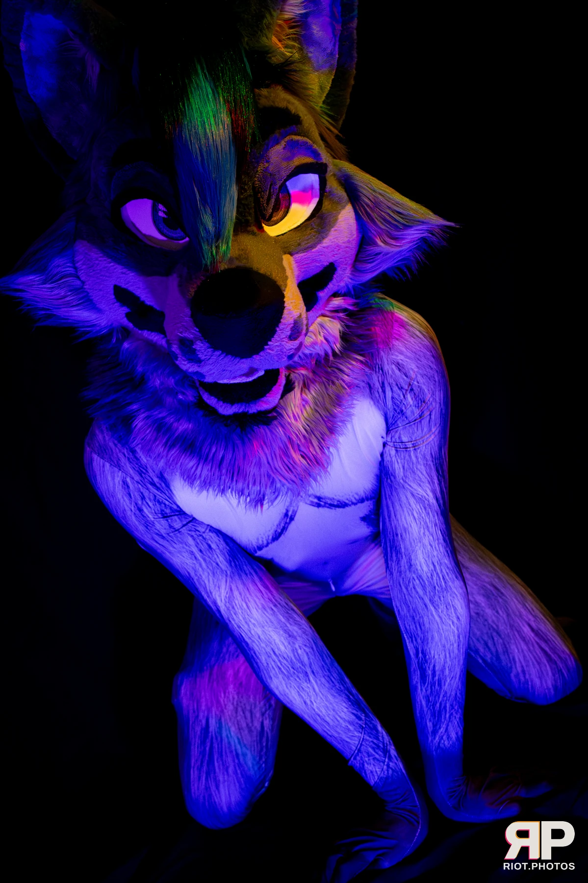 Salerei — furry & pup photography by Fluffy Riot — photo 31