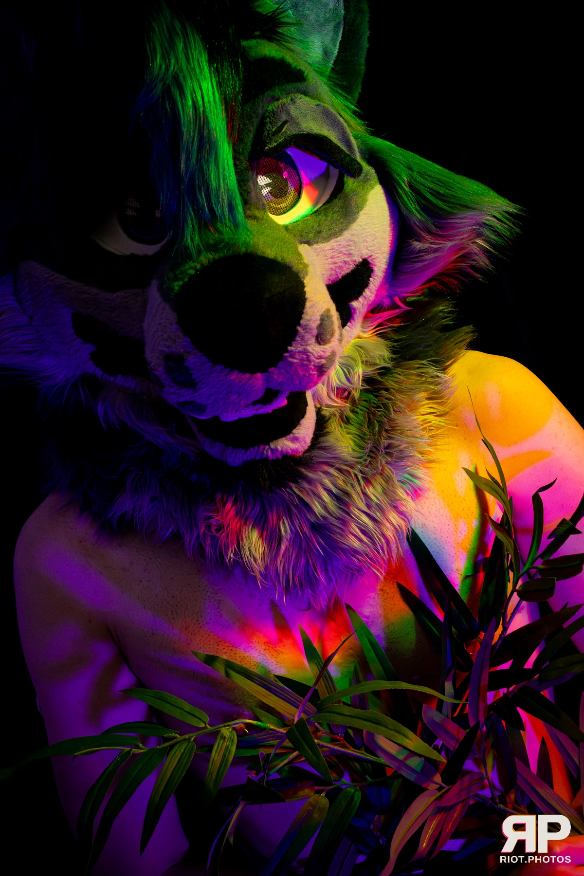 Salerei — furry & pup photography by Fluffy Riot — photo 44
