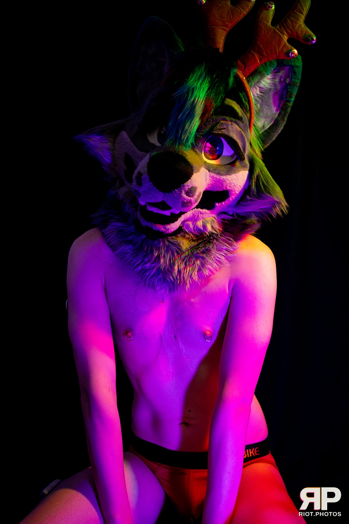 Salerei — furry & pup photography by Fluffy Riot — photo 47