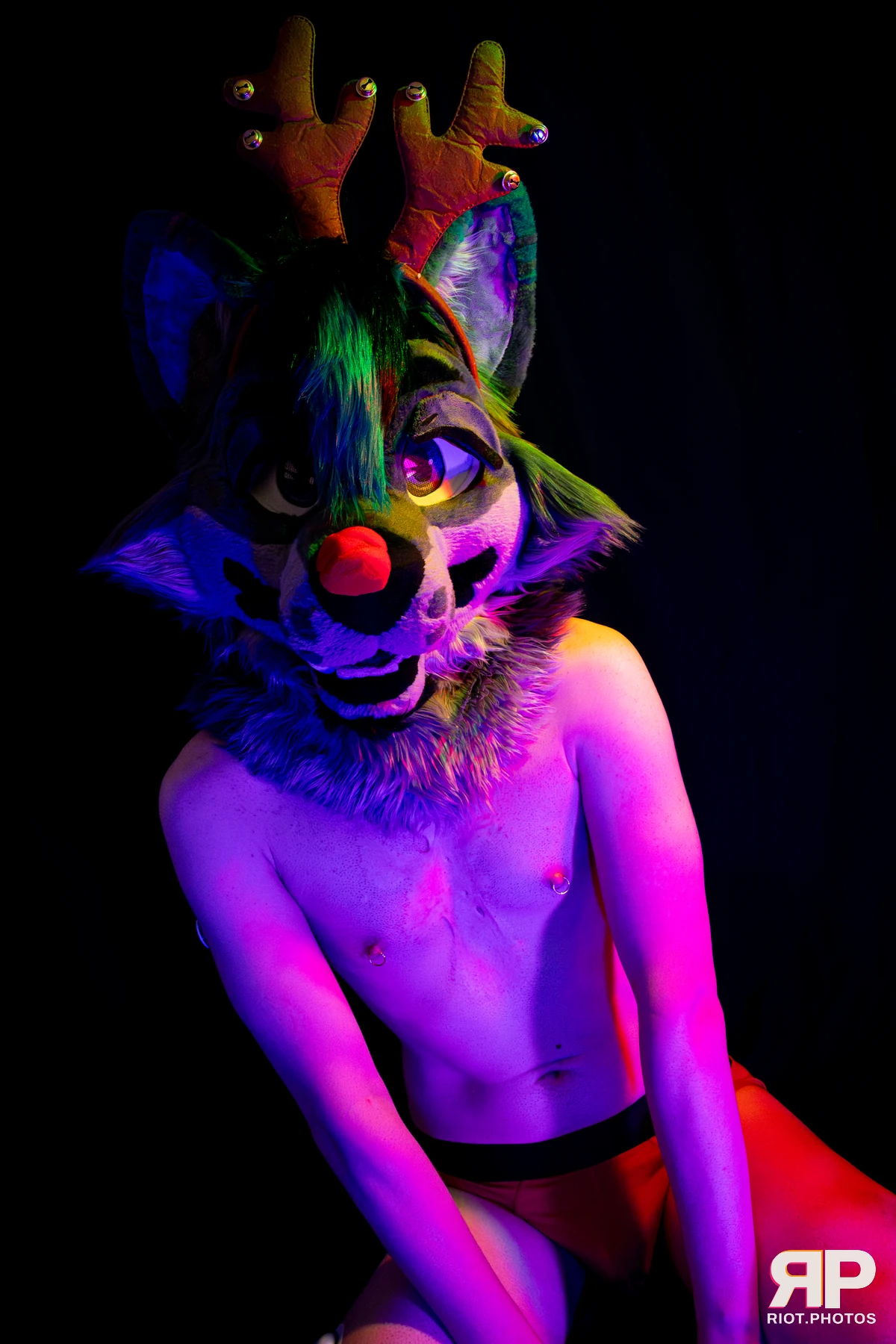 Salerei — furry & pup photography by Fluffy Riot — photo 49