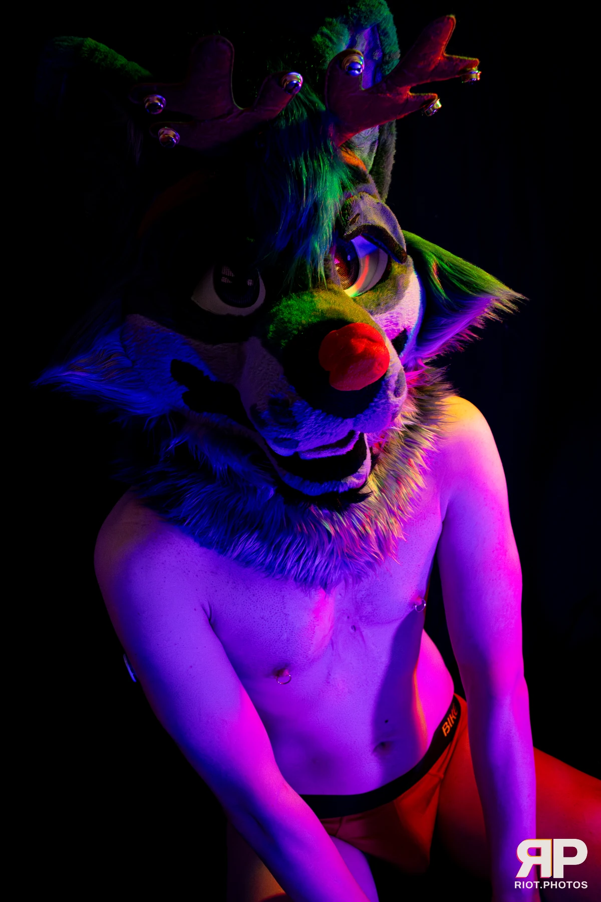 Salerei — furry & pup photography by Fluffy Riot — photo 51