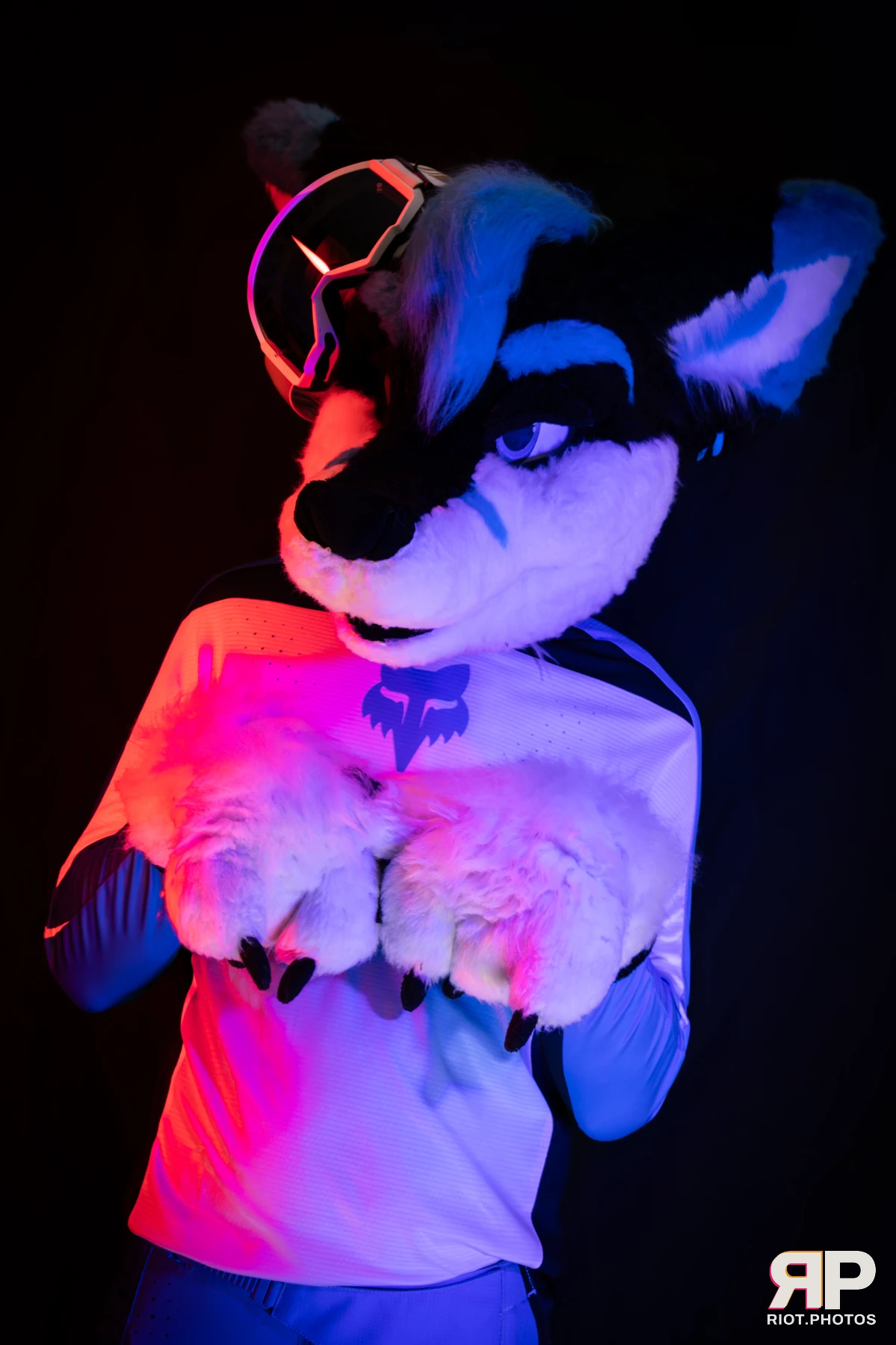 Shade — furry & pup photography by Fluffy Riot — photo 90