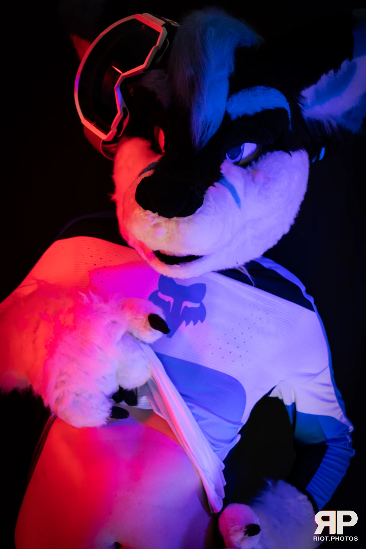 Shade — furry & pup photography by Fluffy Riot — photo 97