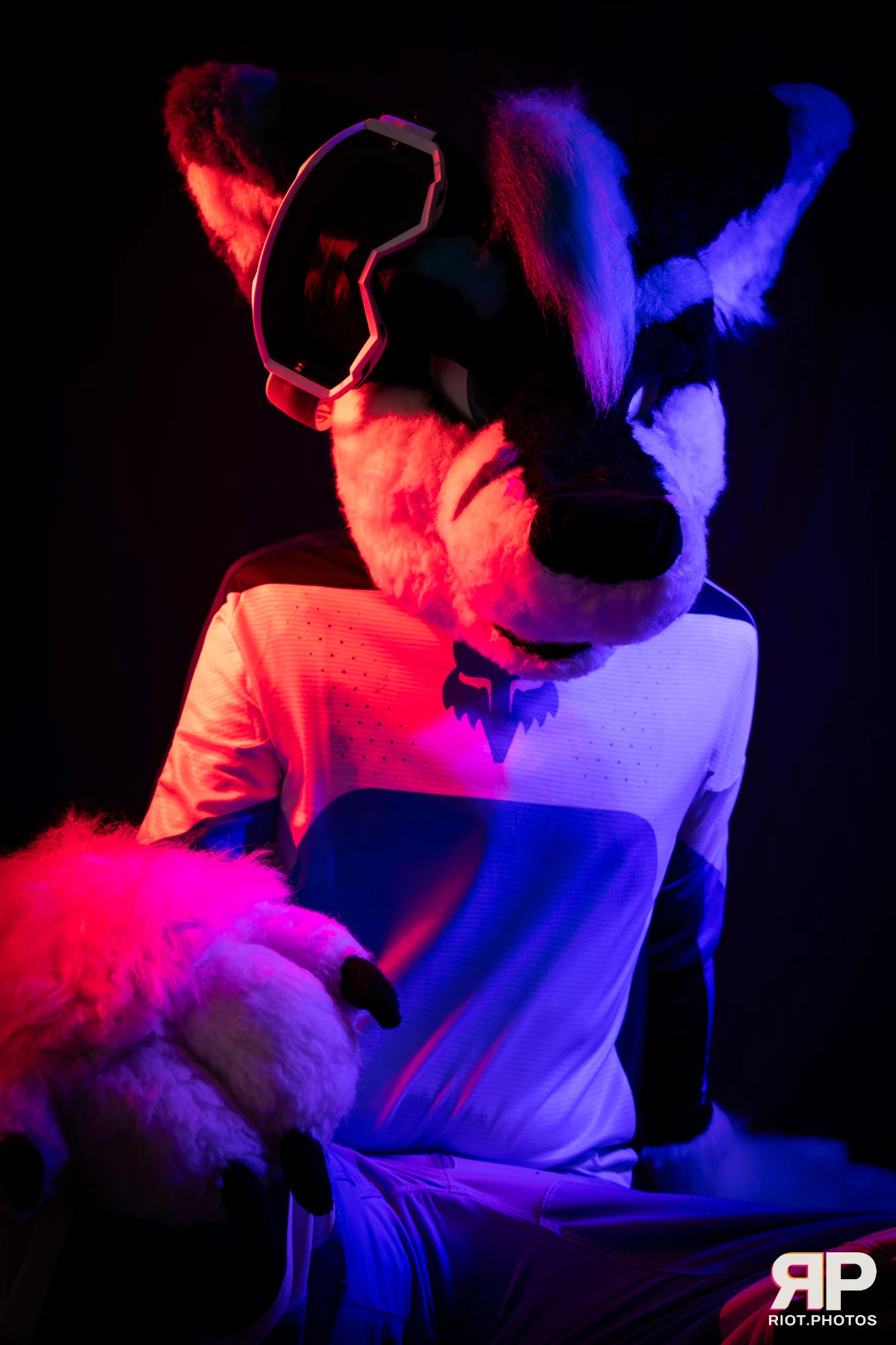 Shade — furry & pup photography by Fluffy Riot — photo 100