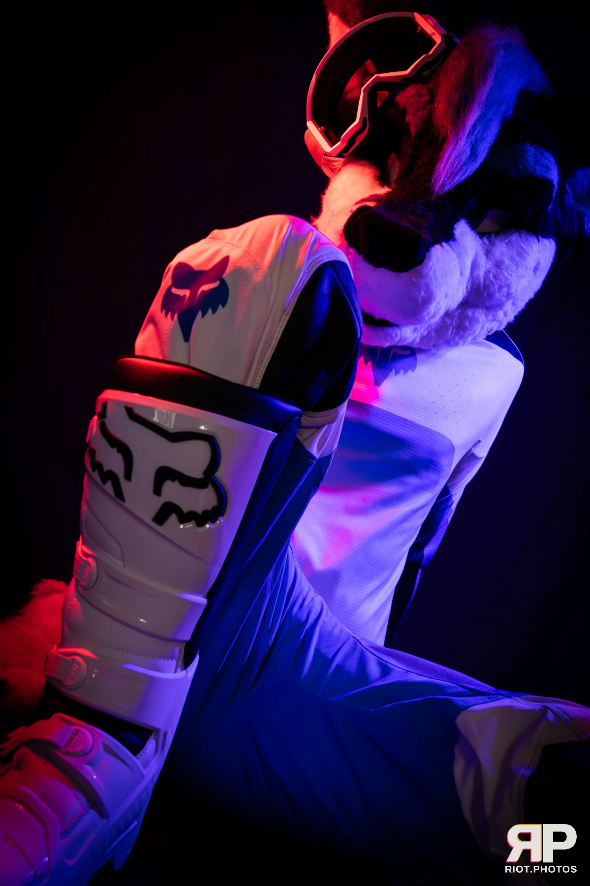 Shade — furry & pup photography by Fluffy Riot — photo 101