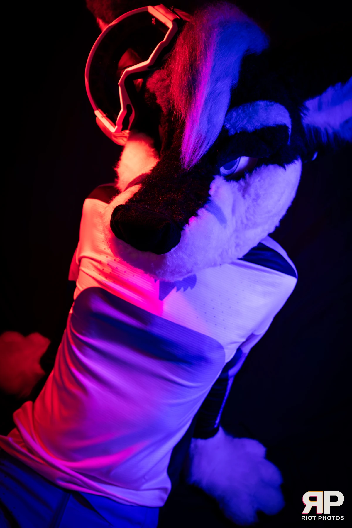 Shade — furry & pup photography by Fluffy Riot — photo 103
