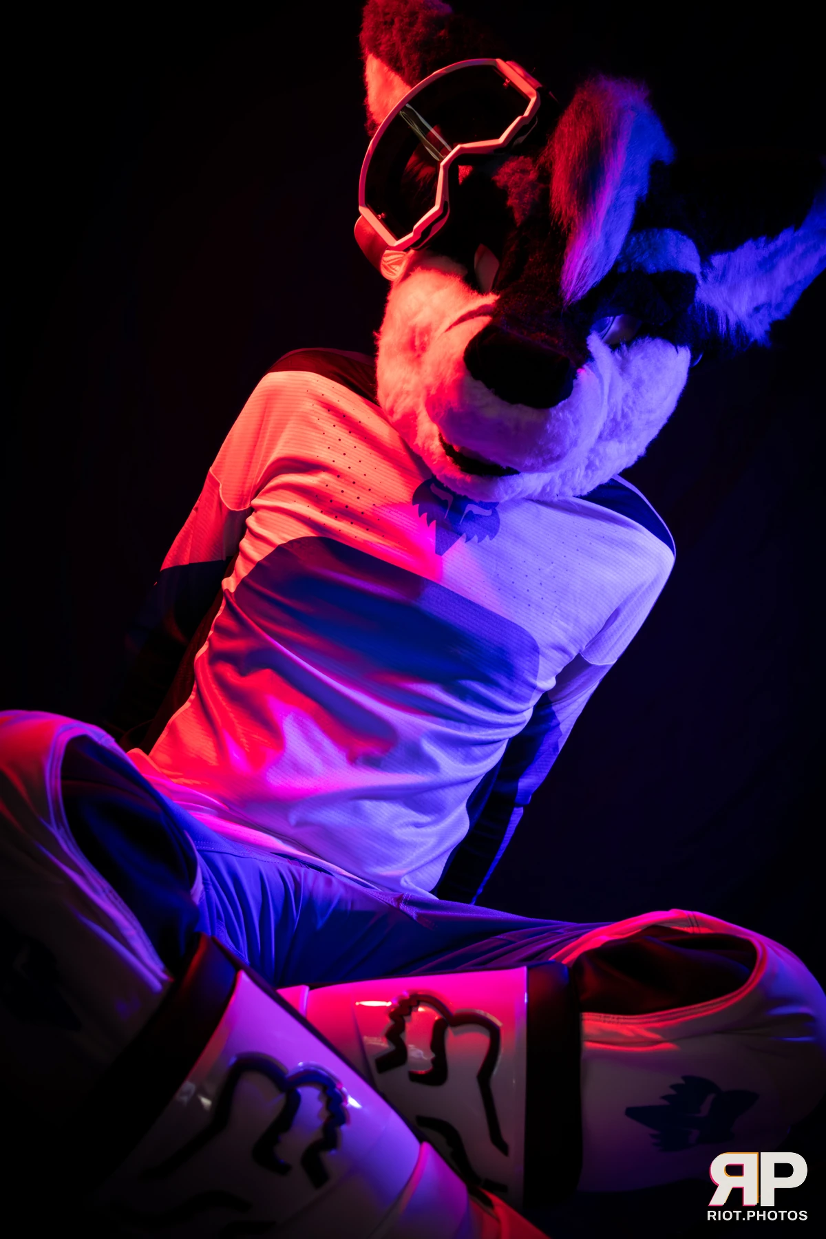 Shade — furry & pup photography by Fluffy Riot — photo 104