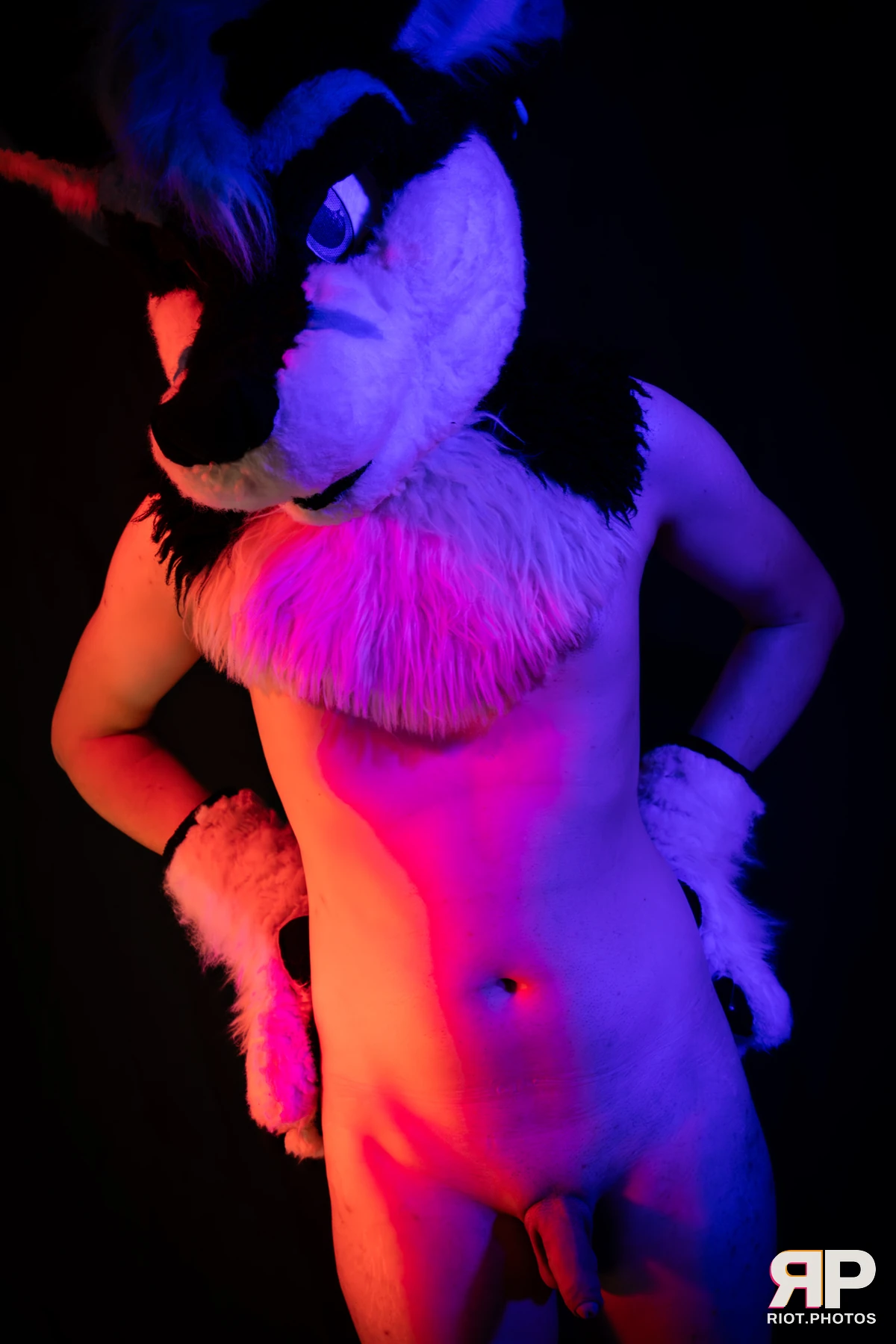Shade — furry & pup photography by Fluffy Riot — photo 107