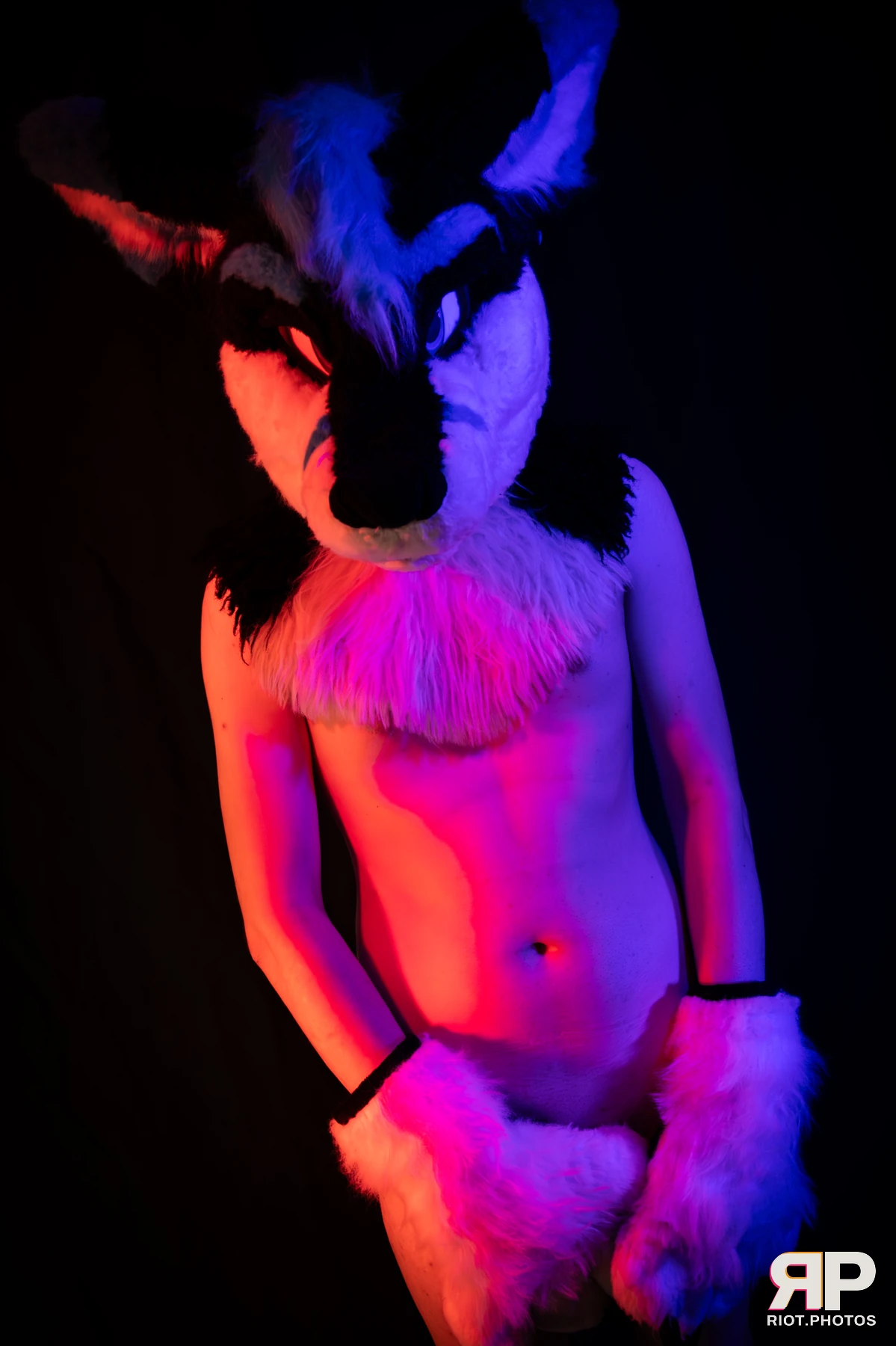 Shade — furry & pup photography by Fluffy Riot — photo 108