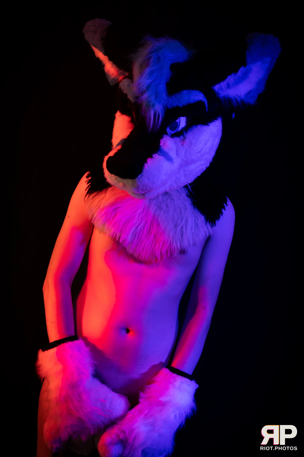 Shade — furry & pup photography by Fluffy Riot — photo 109