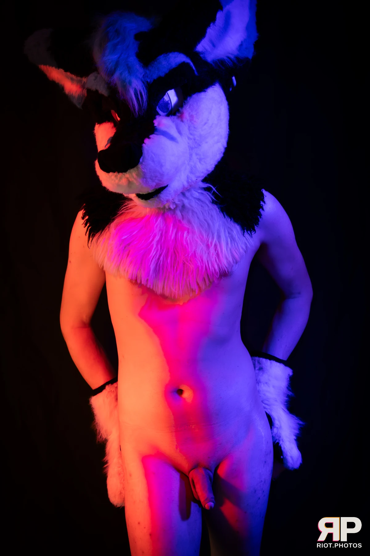 Shade — furry & pup photography by Fluffy Riot — photo 110