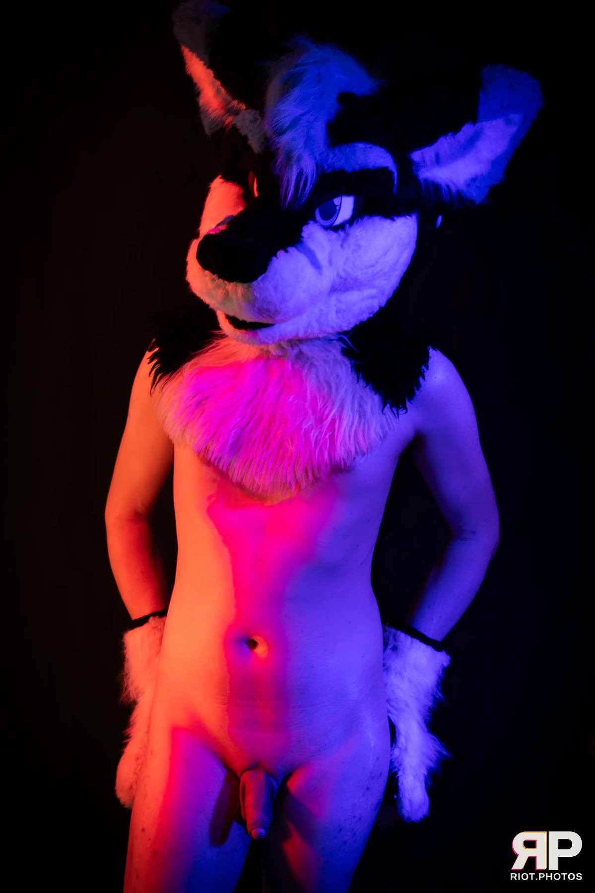 Shade — furry & pup photography by Fluffy Riot — photo 111