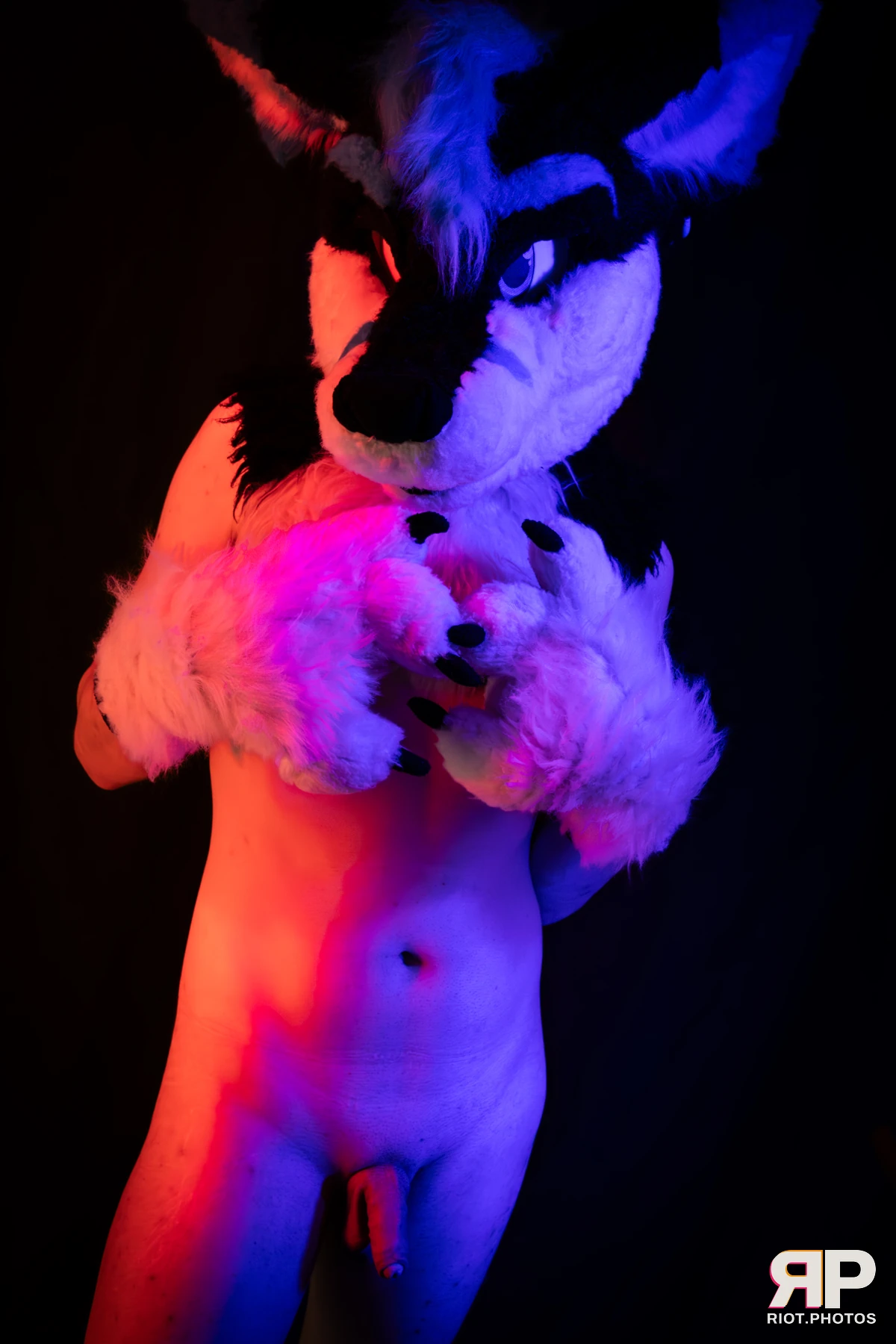 Shade — furry & pup photography by Fluffy Riot — photo 113
