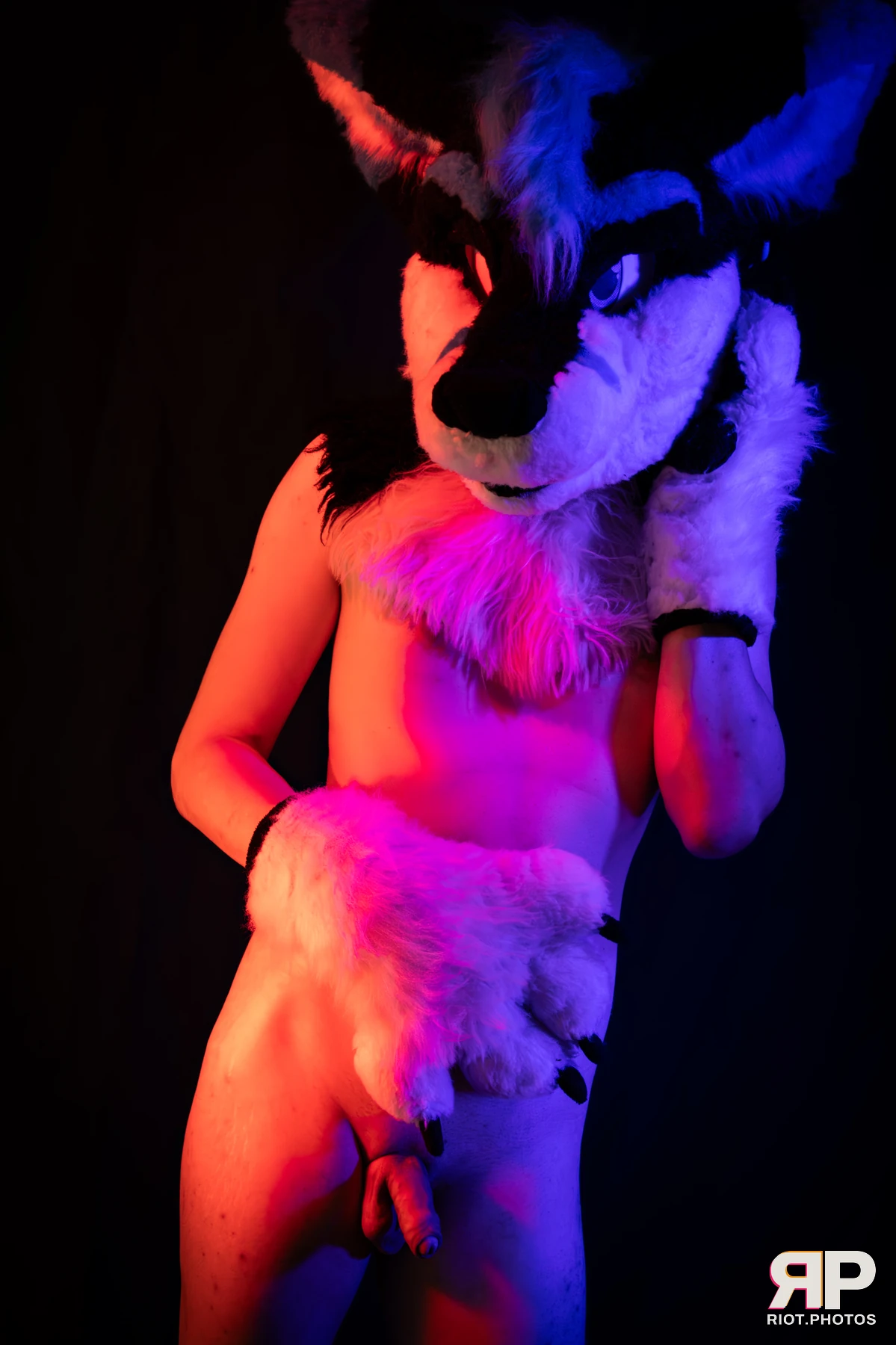 Shade — furry & pup photography by Fluffy Riot — photo 114