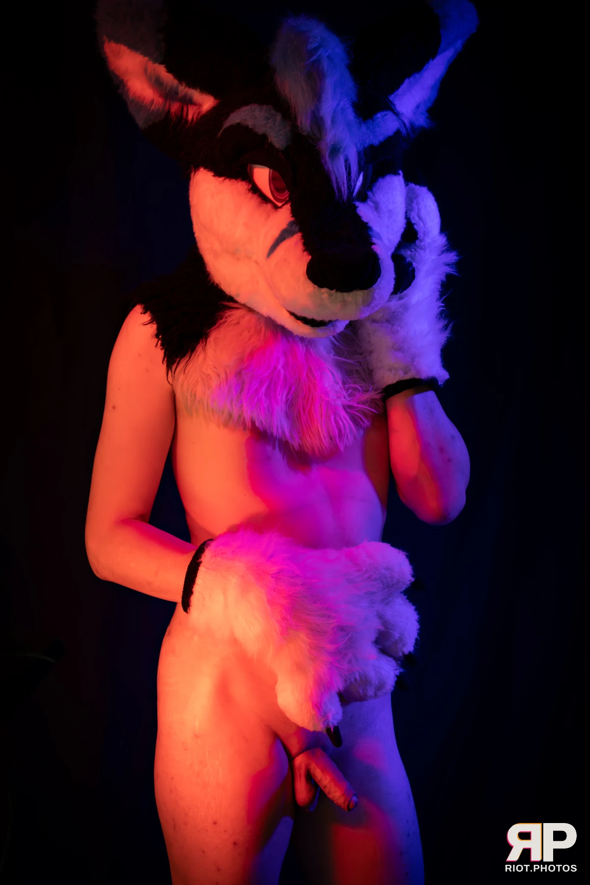 Shade — furry & pup photography by Fluffy Riot — photo 115