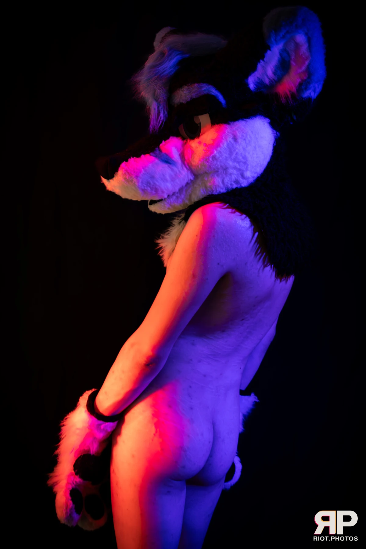 Shade — furry & pup photography by Fluffy Riot — photo 116