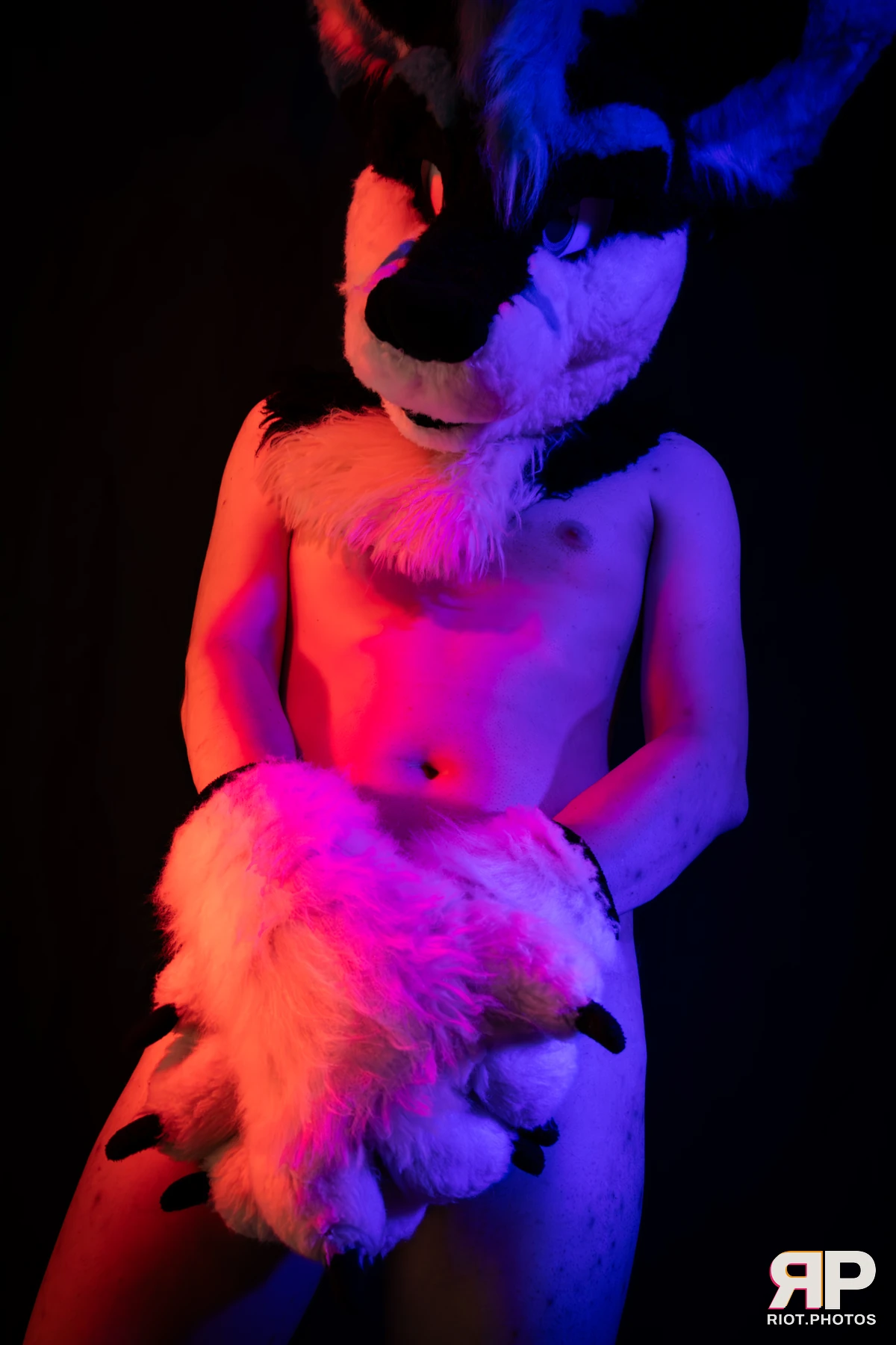 Shade — furry & pup photography by Fluffy Riot — photo 119
