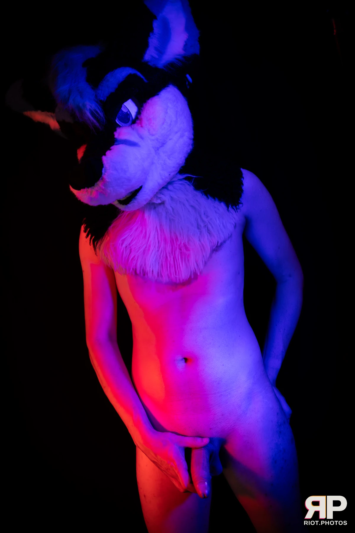 Shade — furry & pup photography by Fluffy Riot — photo 121