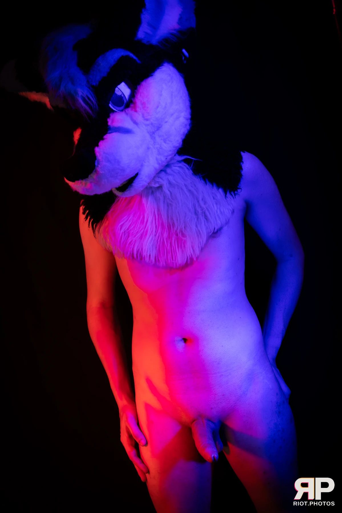 Shade — furry & pup photography by Fluffy Riot — photo 122