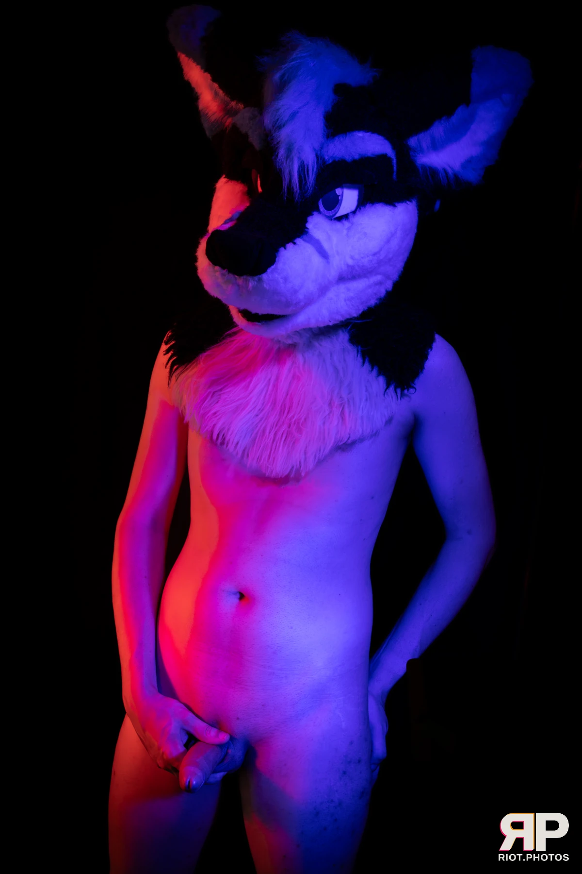 Shade — furry & pup photography by Fluffy Riot — photo 123