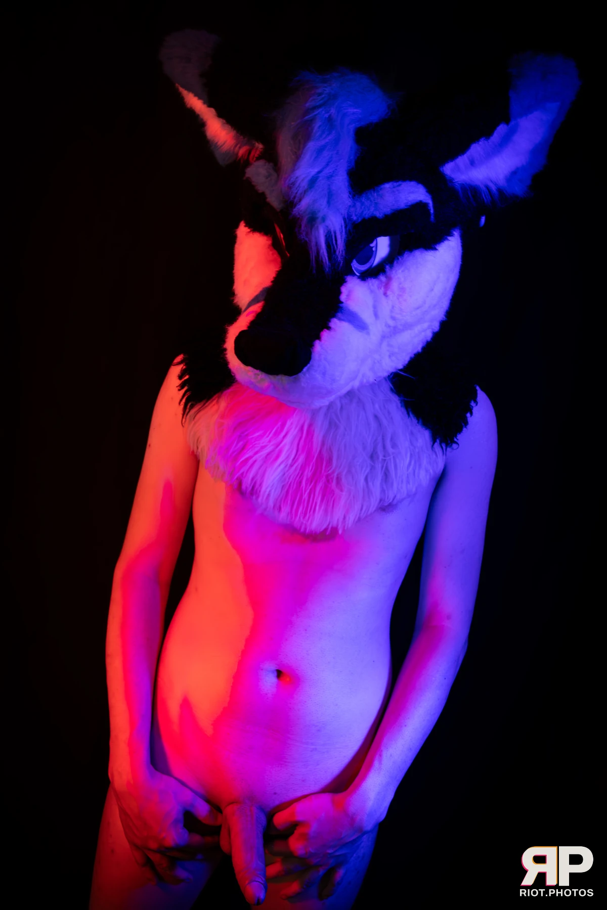 Shade — furry & pup photography by Fluffy Riot — photo 125
