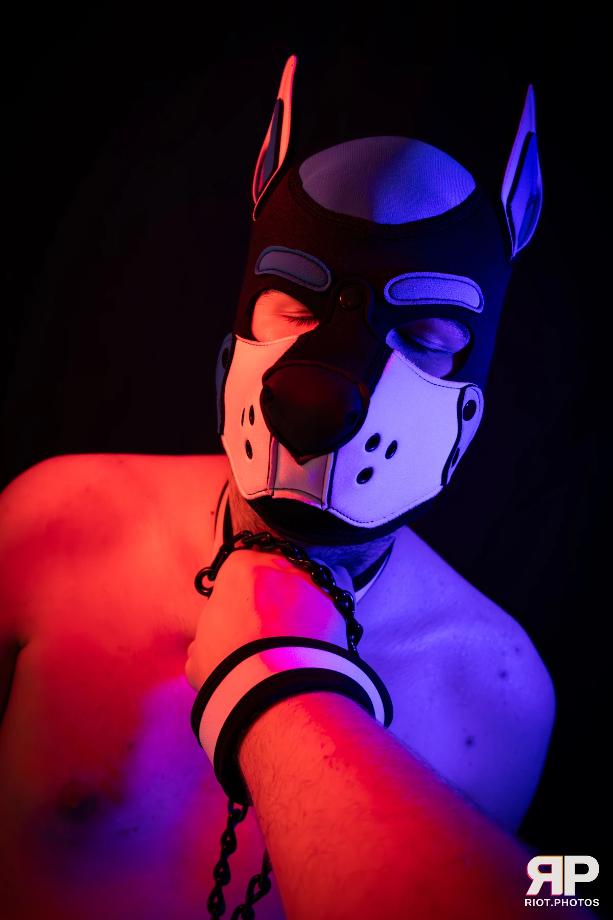Shade — furry & pup photography by Fluffy Riot — photo 142