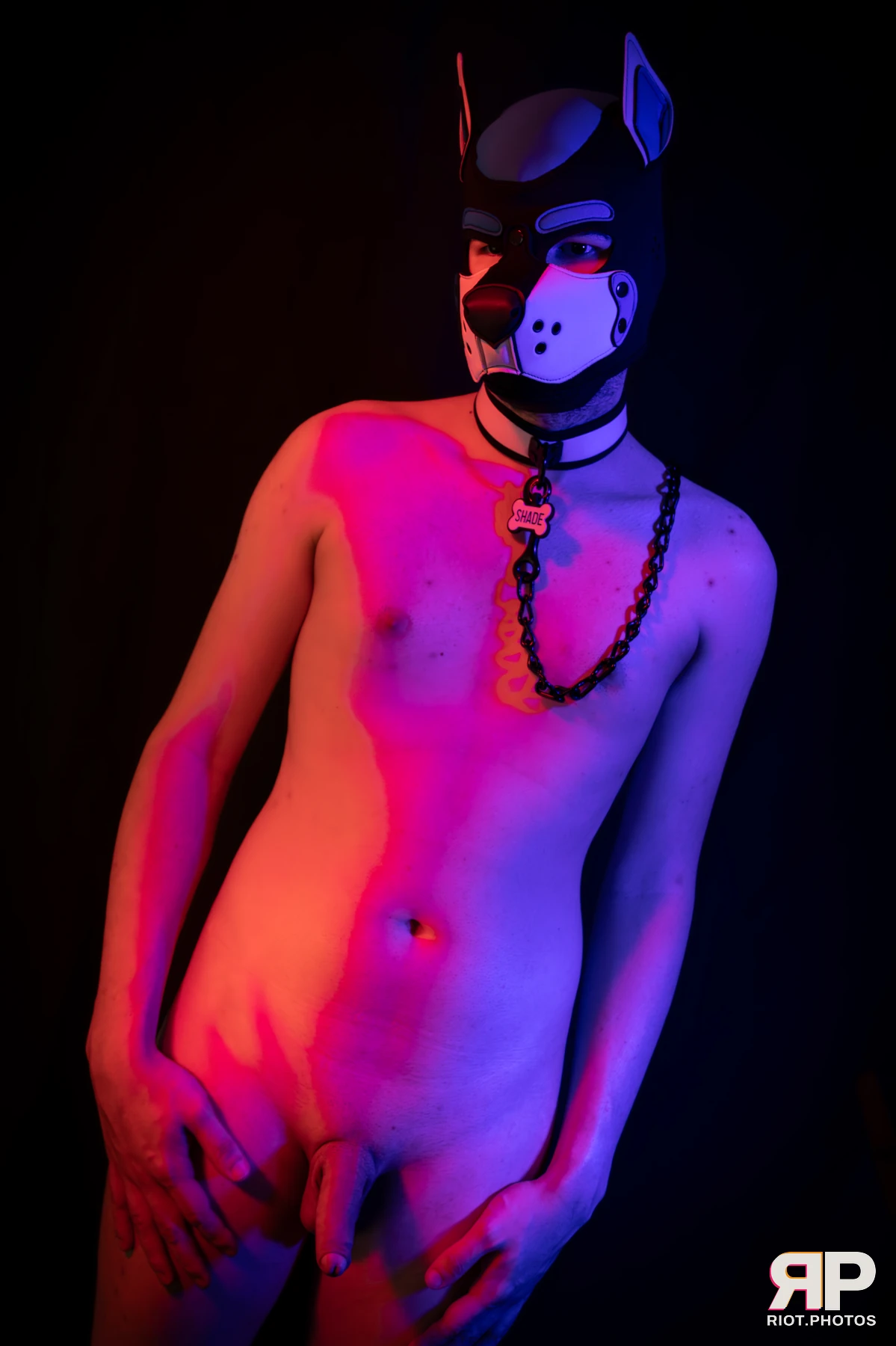 Shade — furry & pup photography by Fluffy Riot — photo 144