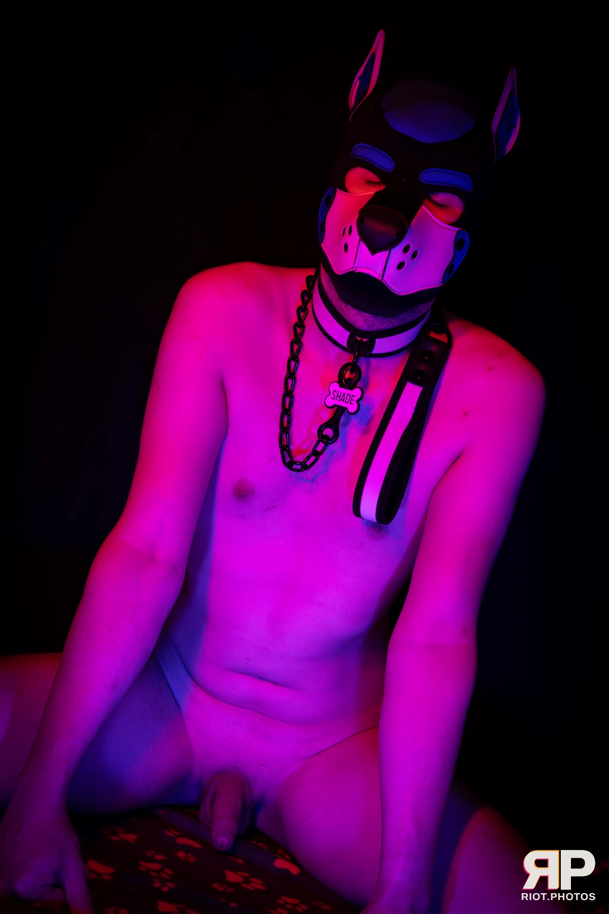 Shade — furry & pup photography by Fluffy Riot — photo 149
