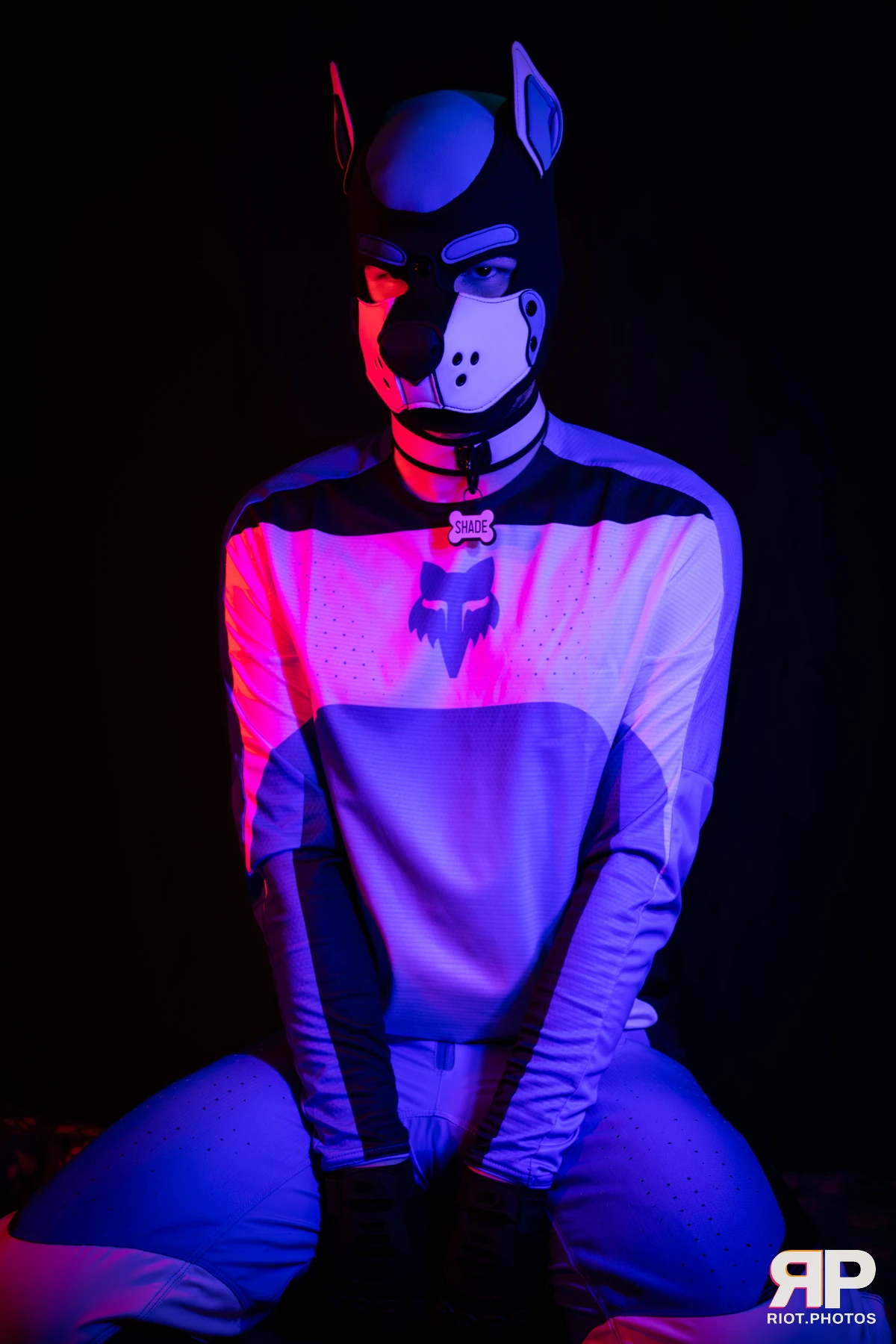 Shade — furry & pup photography by Fluffy Riot — photo 153