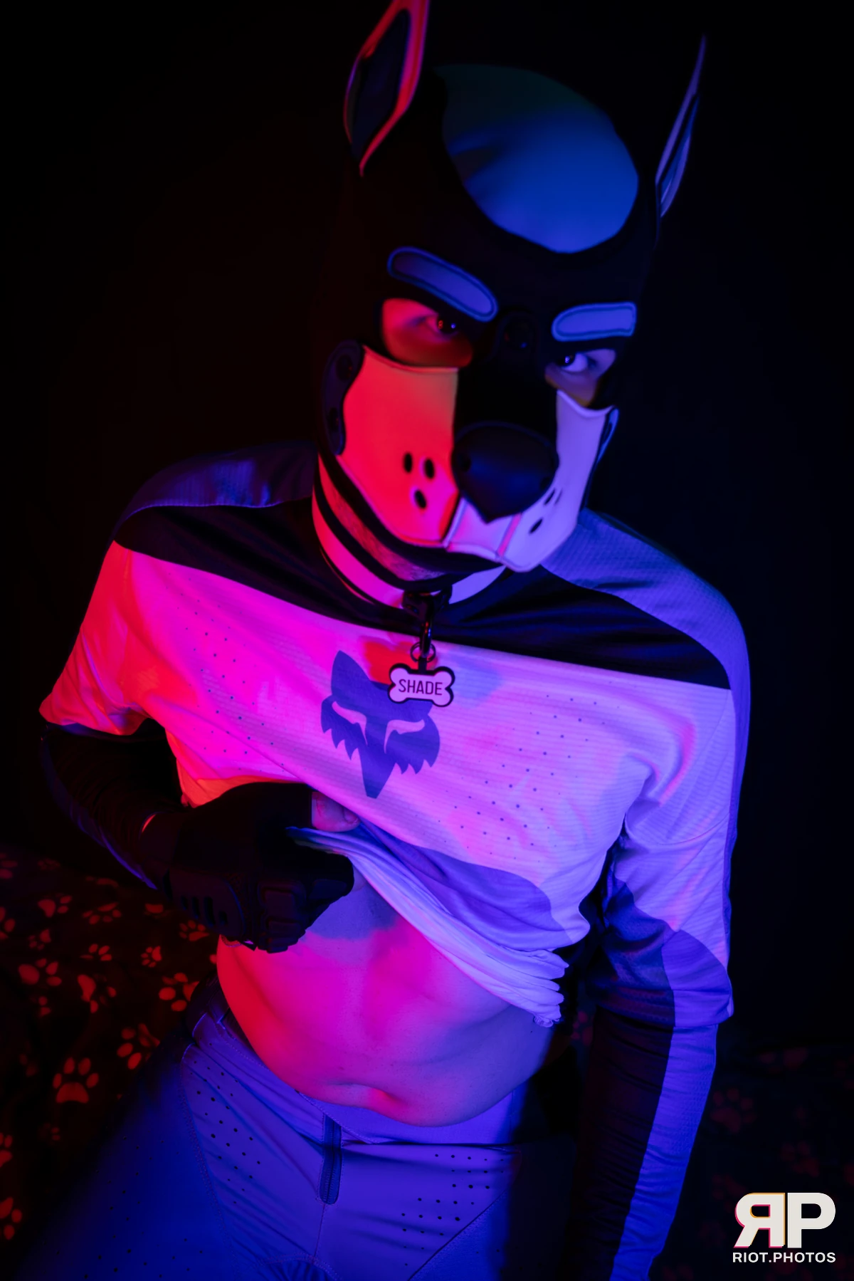 Shade — furry & pup photography by Fluffy Riot — photo 156