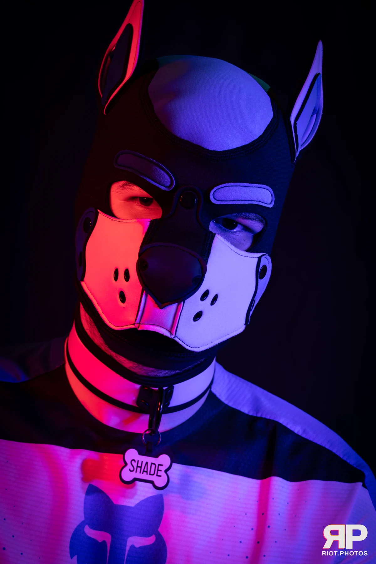 Shade — furry & pup photography by Fluffy Riot — photo 160