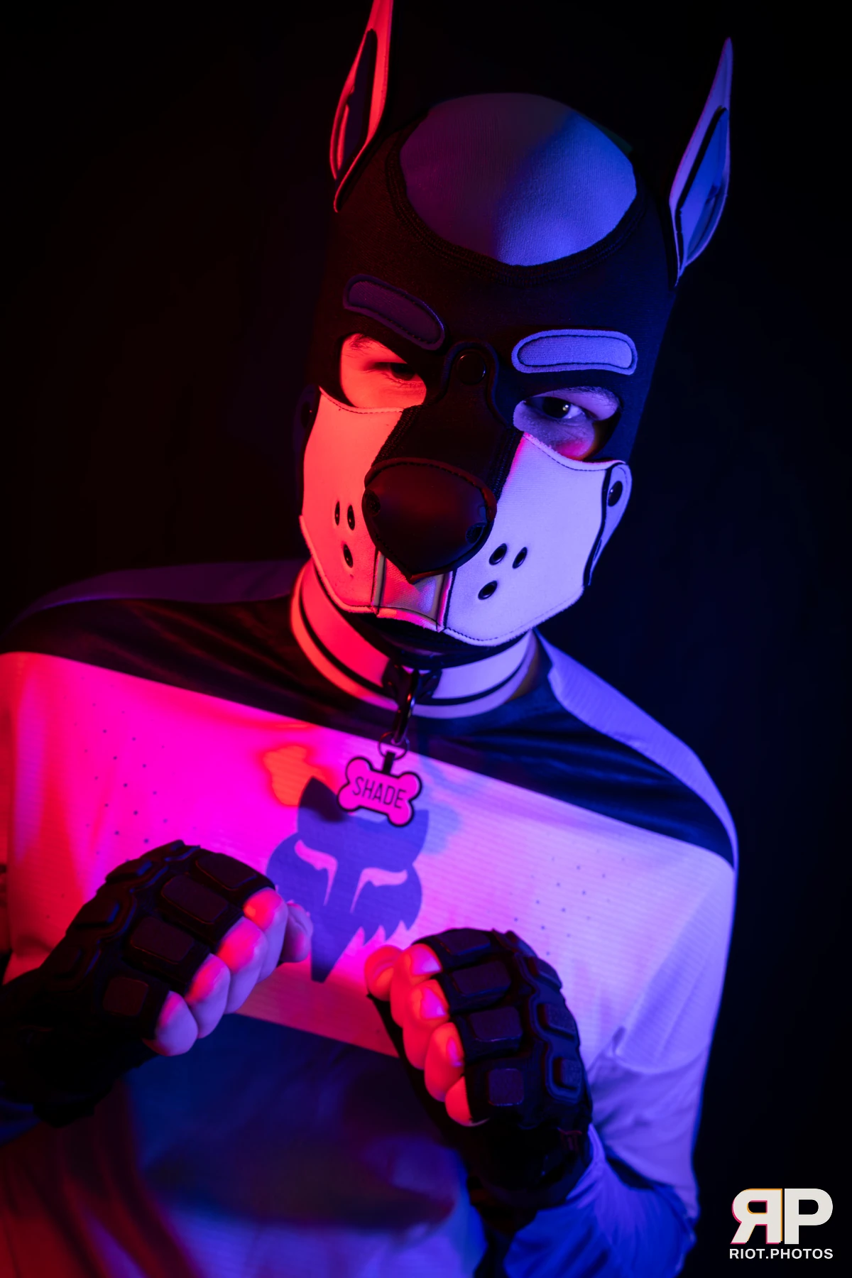 Shade — furry & pup photography by Fluffy Riot — photo 166