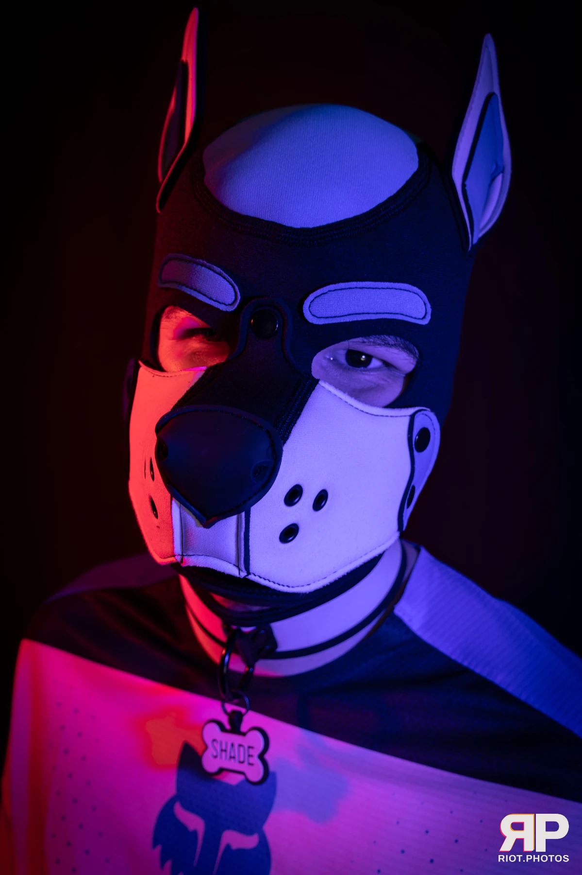 Shade — furry & pup photography by Fluffy Riot — photo 167