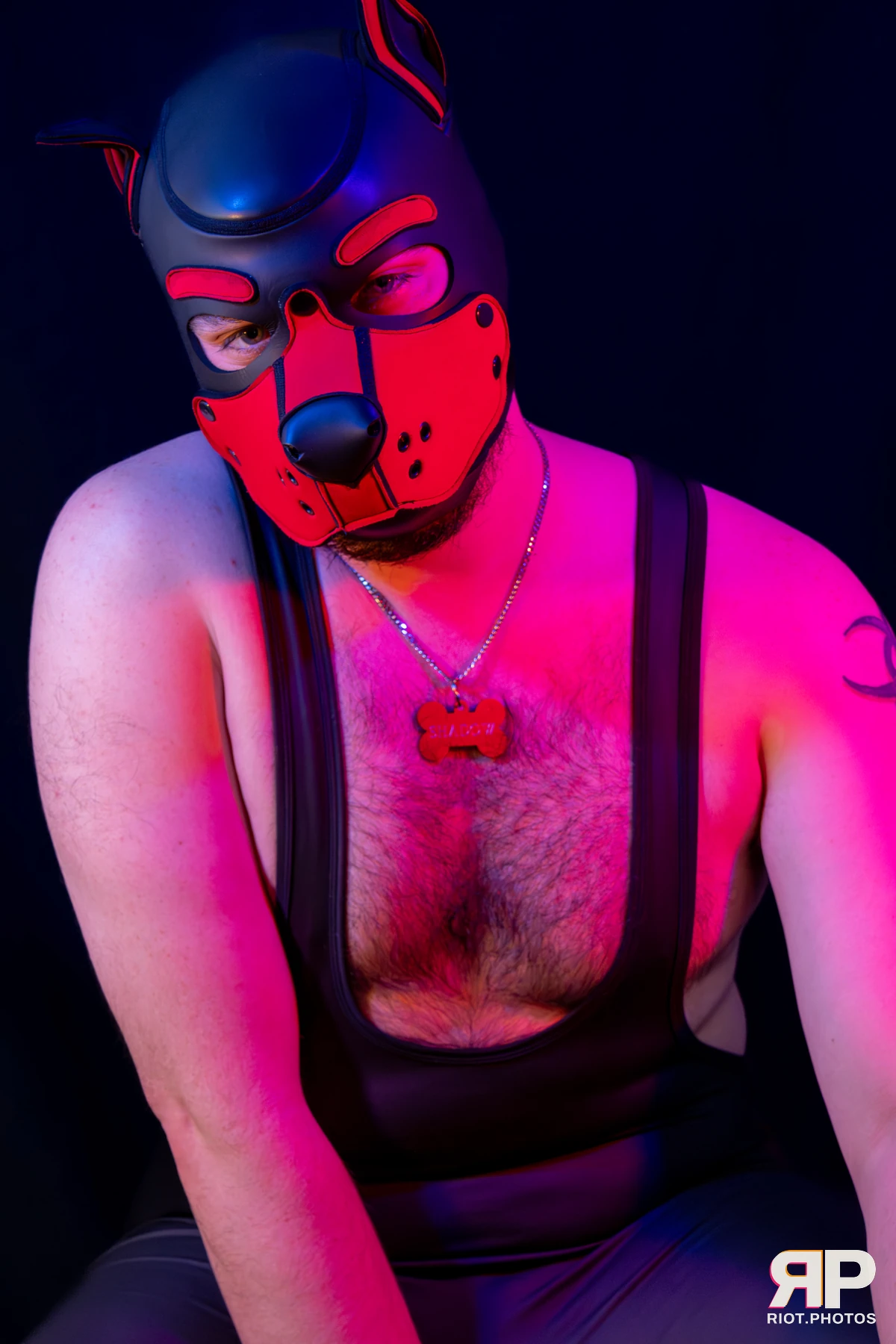 Shadow The Pupper — furry & pup photography by Fluffy Riot — photo 12