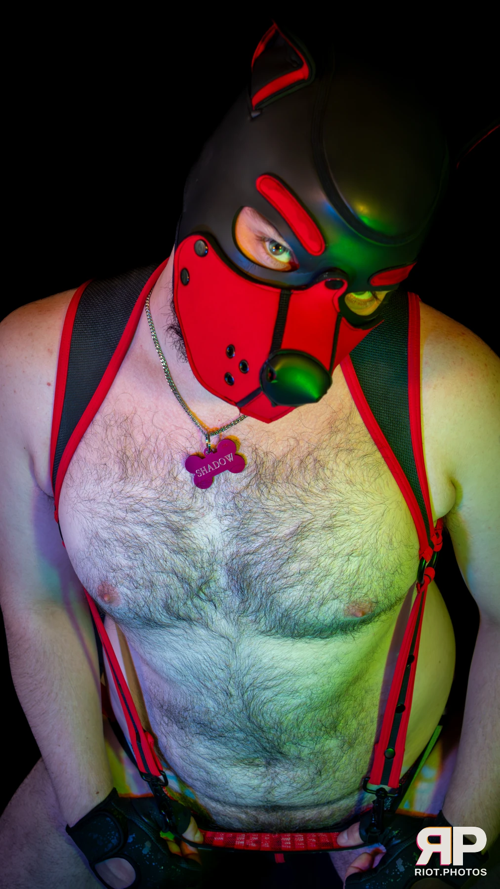 Shadow The Pupper — furry & pup photography by Fluffy Riot — photo 22