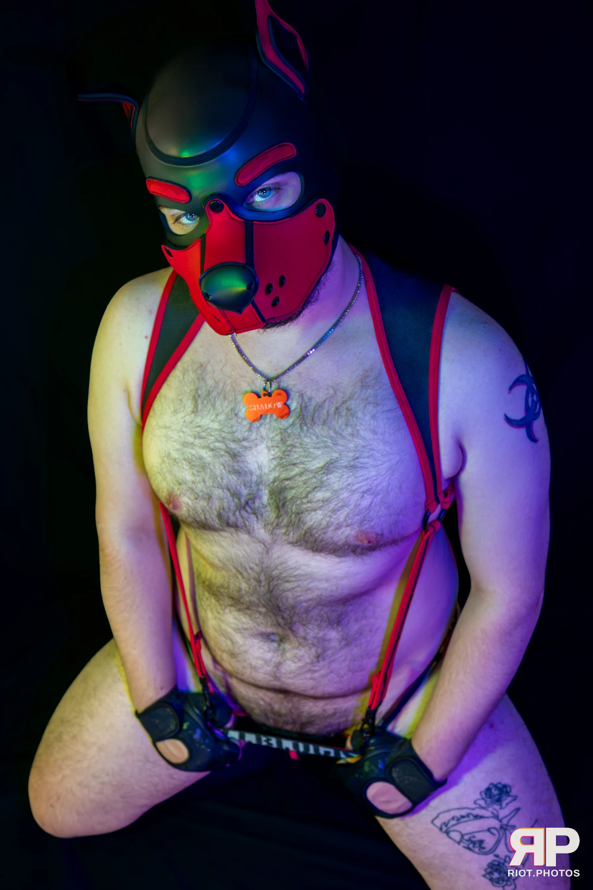 Shadow The Pupper — furry & pup photography by Fluffy Riot — photo 23
