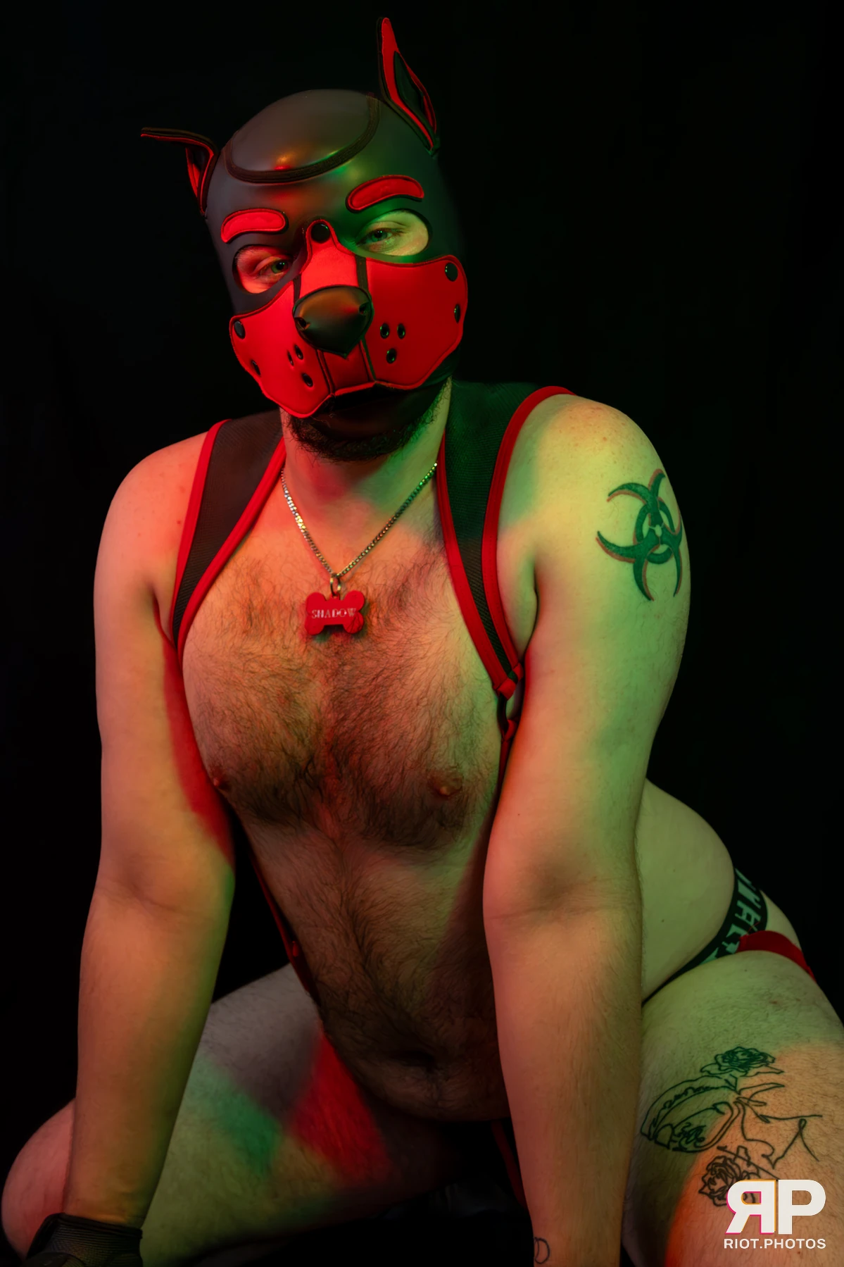 Shadow The Pupper — furry & pup photography by Fluffy Riot — photo 27