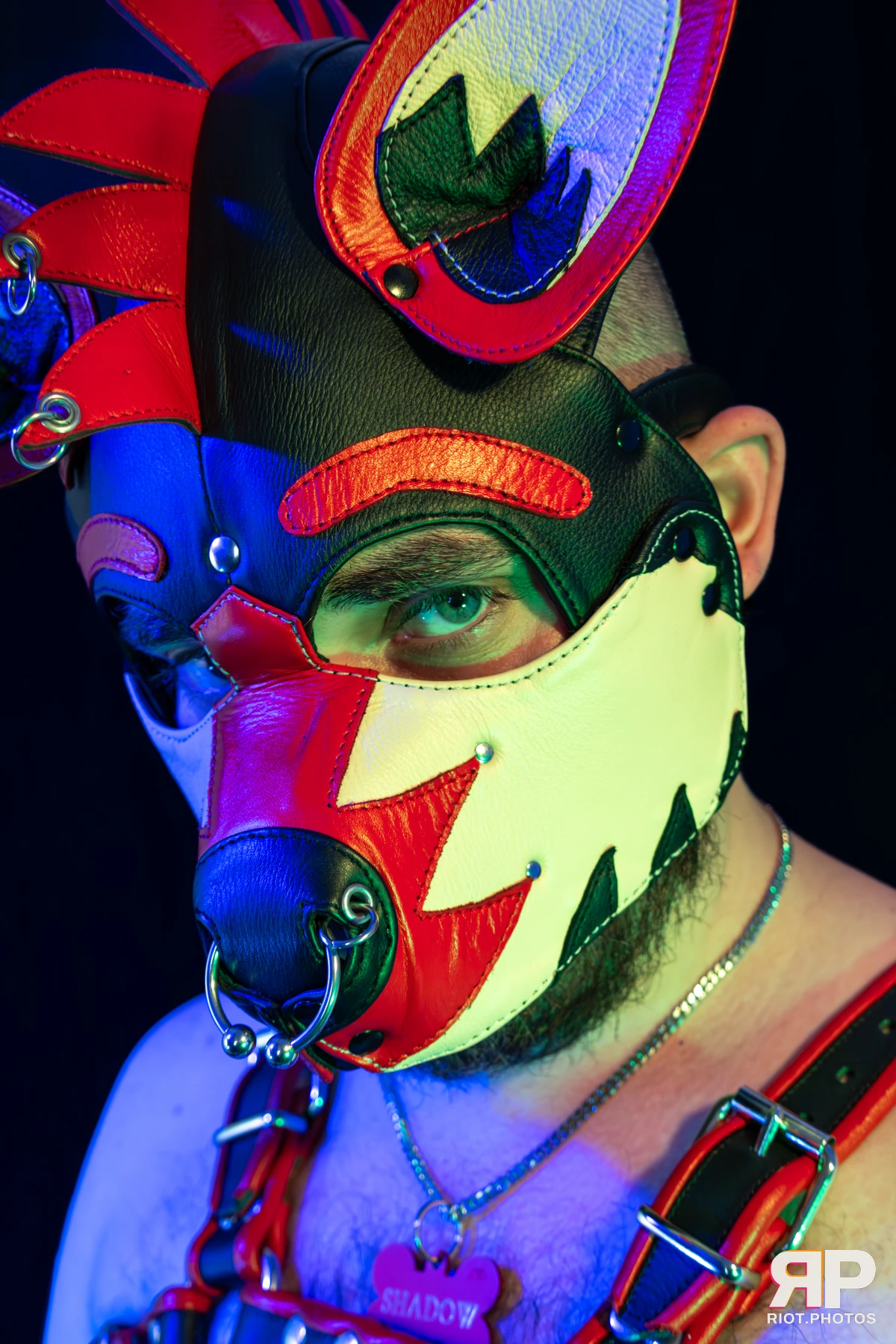 Shadow The Pupper — furry & pup photography by Fluffy Riot — photo 33