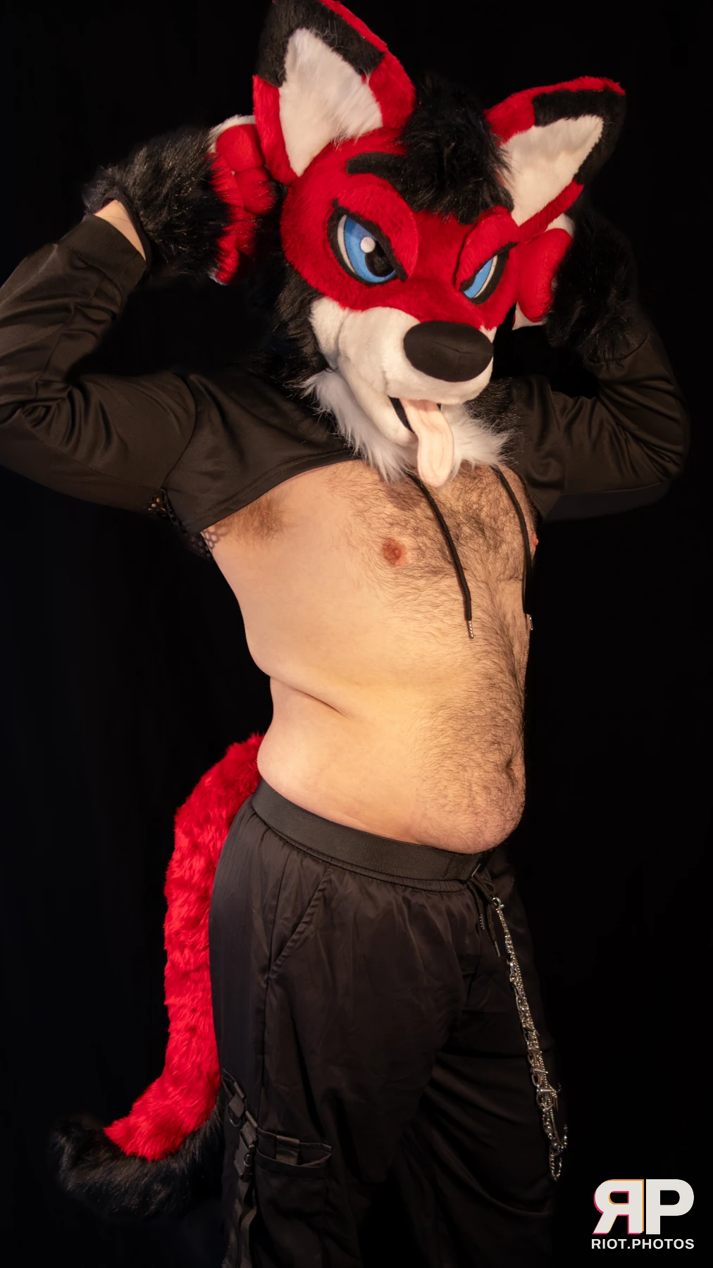 Shadow The Pupper — furry & pup photography by Fluffy Riot — photo 40