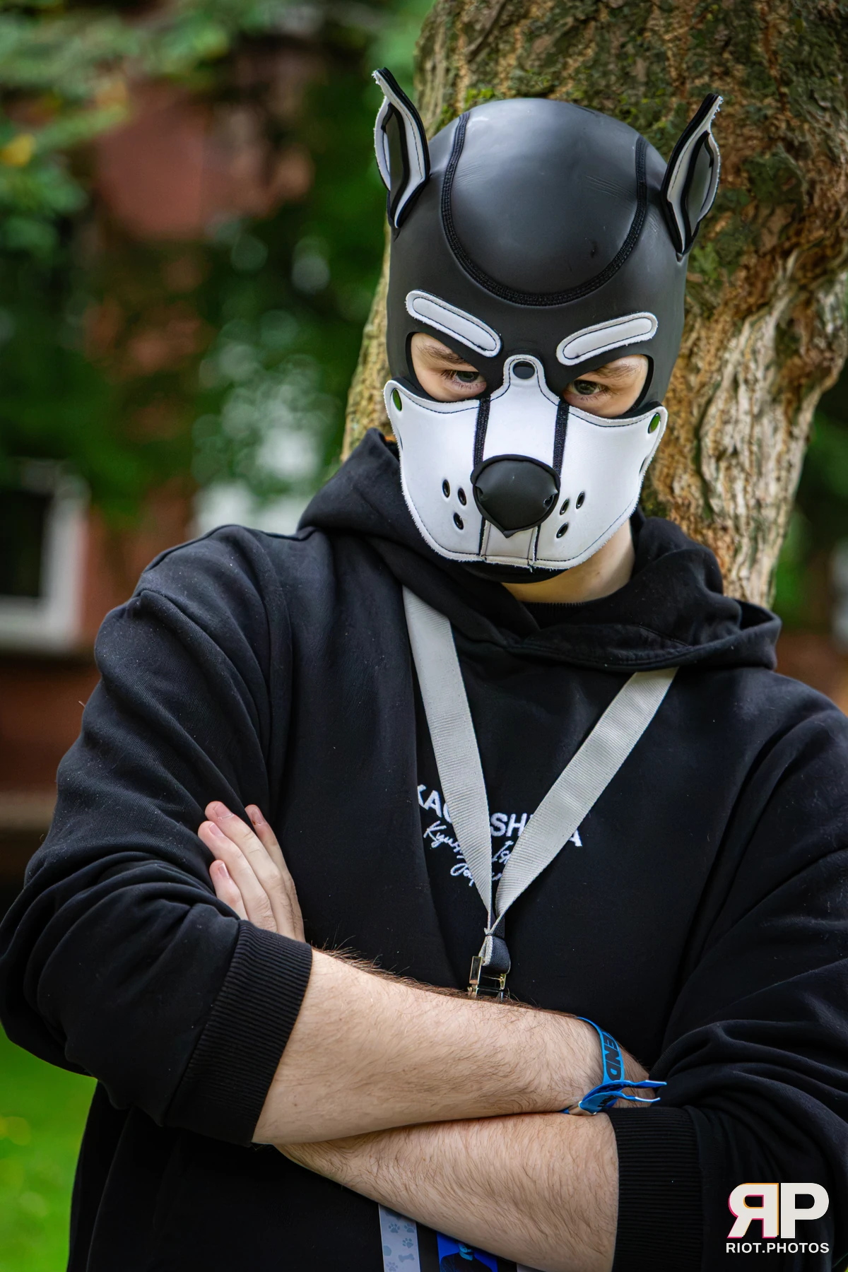 Doggy Weekend 2026 - 18 Oct 2026, Fluffy Riot photography - photo 595